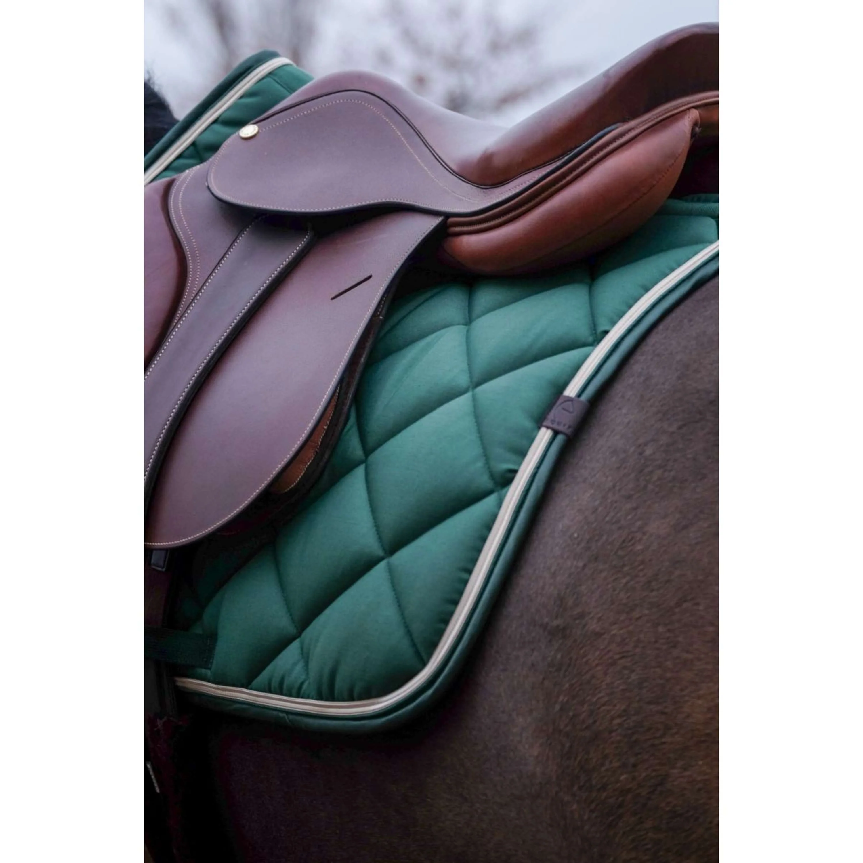 EQUITHÈME Sottosella Classic Saltando Verde scuro - Image 3