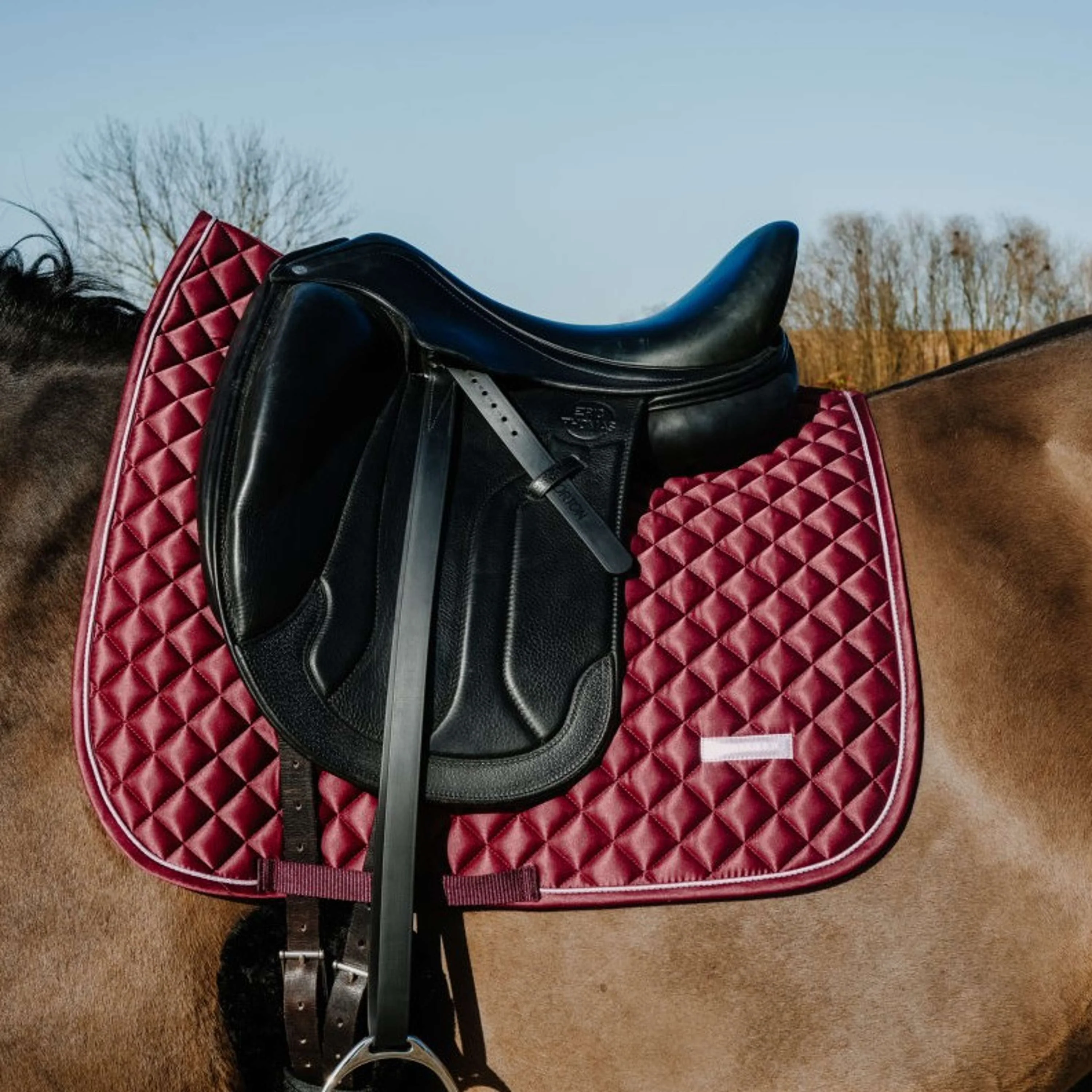 EQUITHÈME Sottosella Nacre Dressage Bordeaux - Image 2