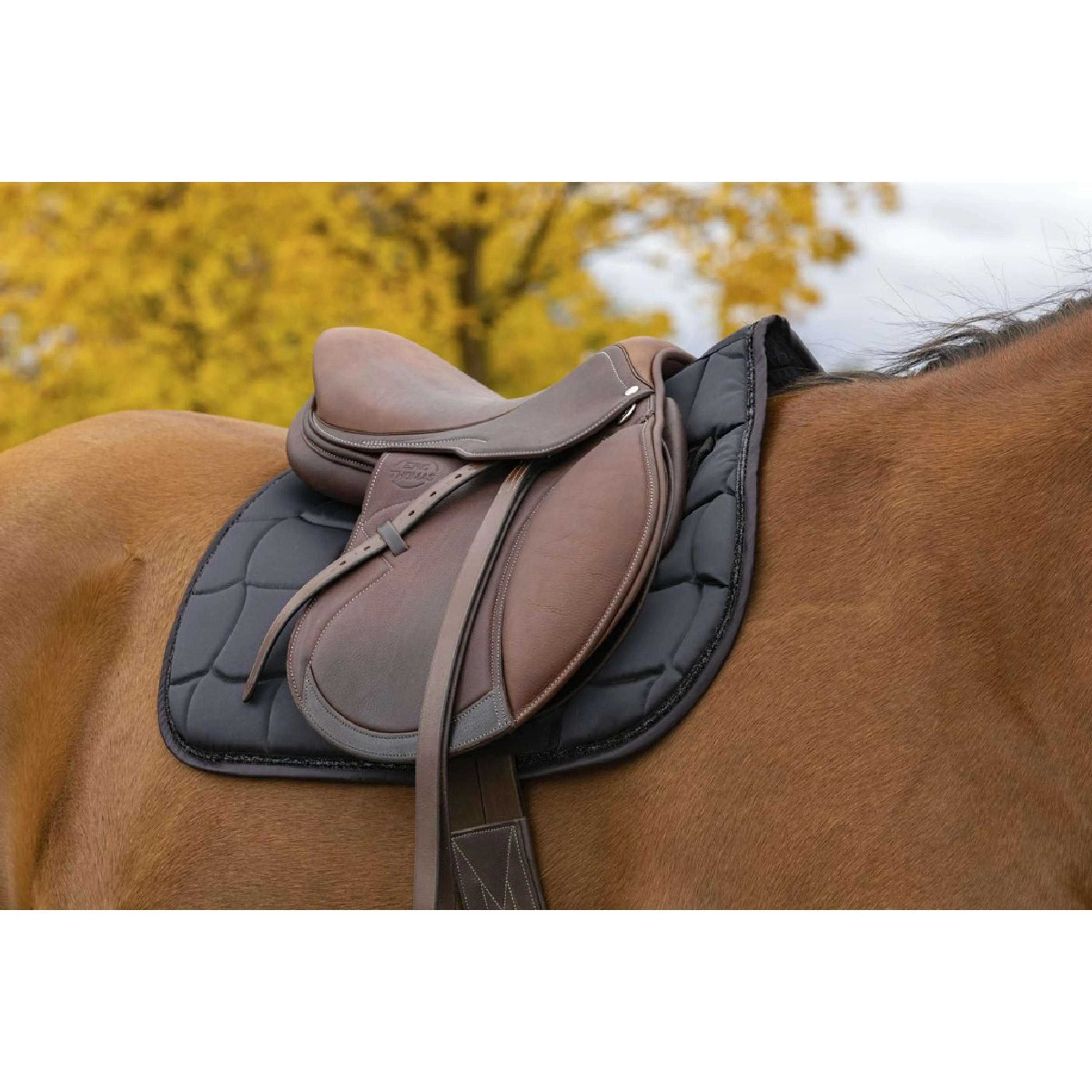 EQUITHÈME Sottosella Satin Nero - Image 2