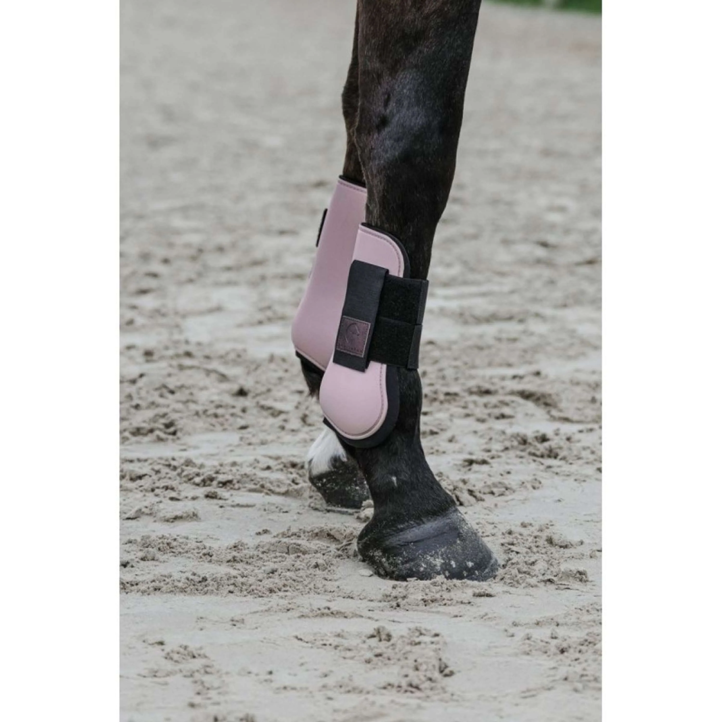EQUITHÈME Stinchiere Rosa - Image 2