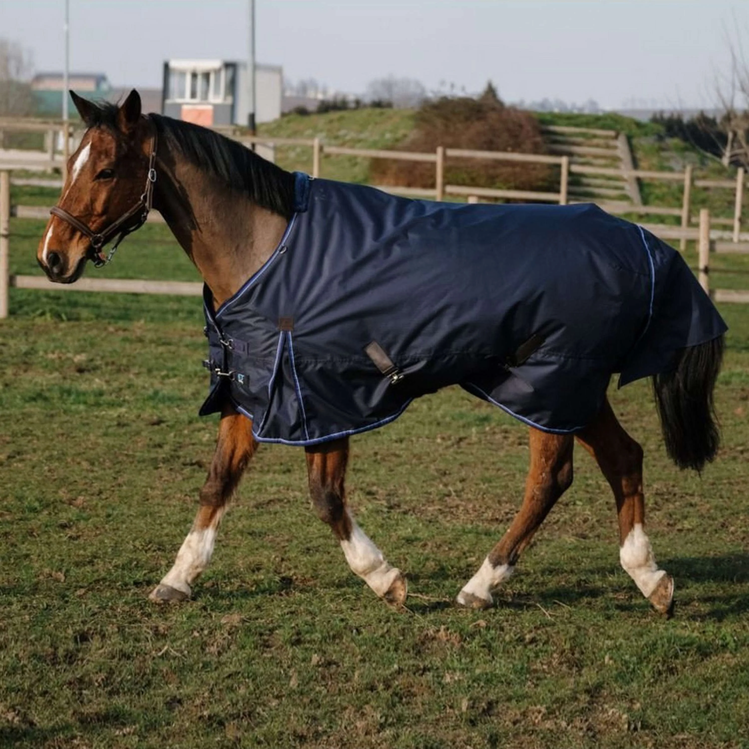 EQUITHÈME Tappeto Classic 600D 0 g Navy