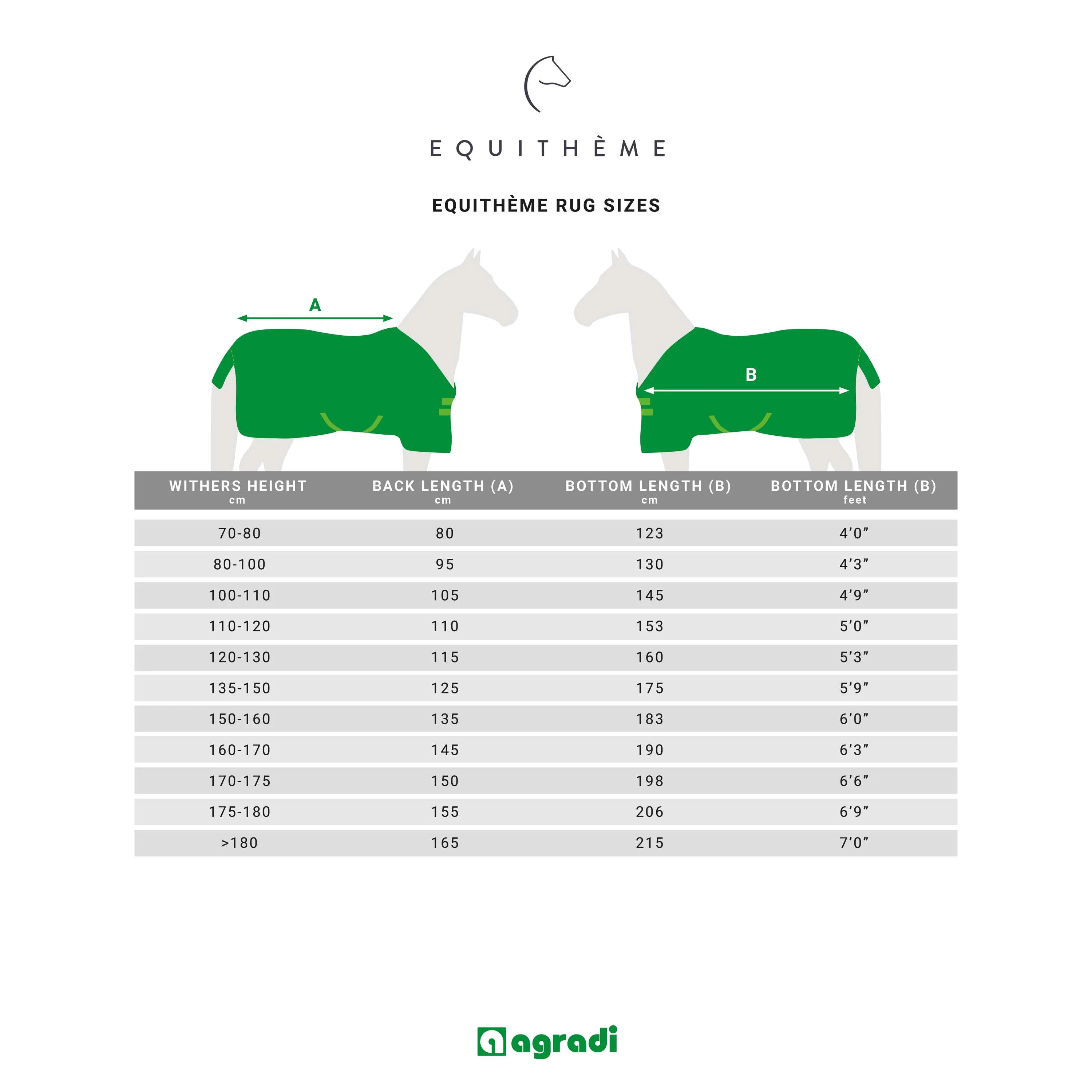 EQUITHÈME Tappeto da Esterno 1200D 0g High Neck Borgogna - Image 14