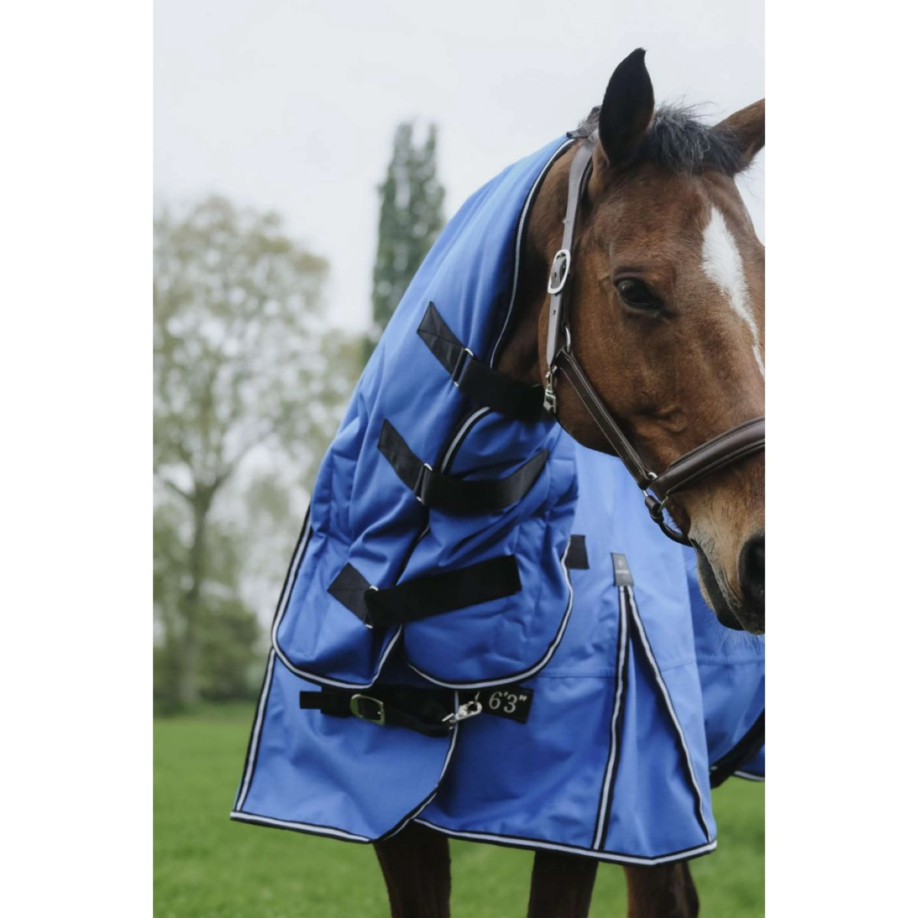 EQUITHÈME Tappeto da Esterno 1200D 100g Aisance Combo Royal Blue - Image 4