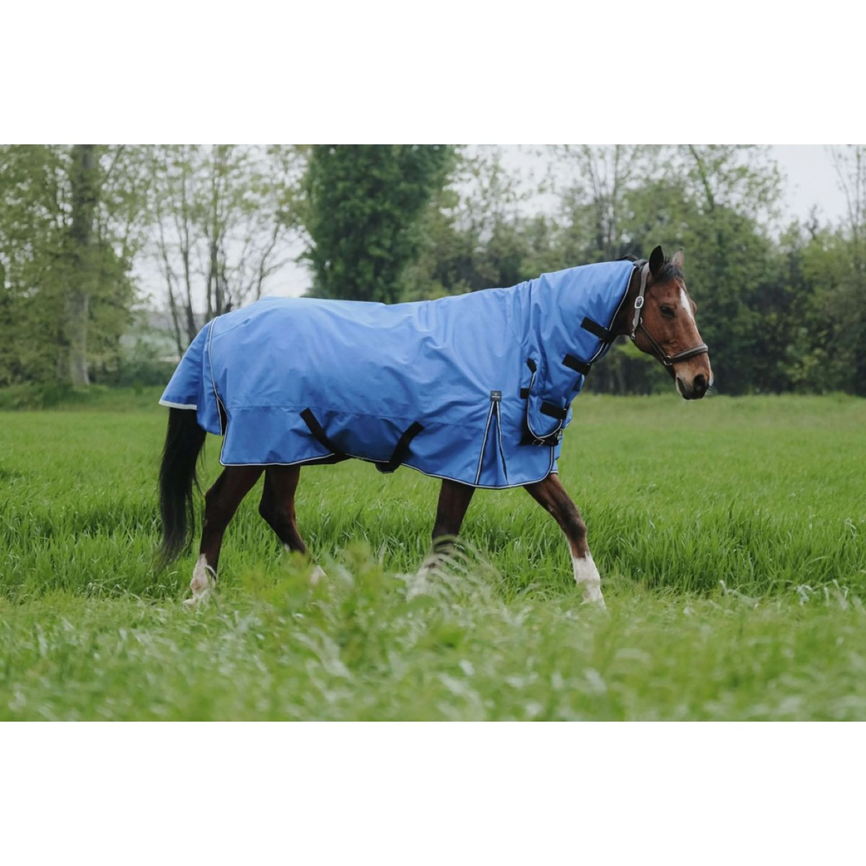 EQUITHÈME Tappeto da Esterno 1200D 300g Aisance Combo Royal Blue - Image 2