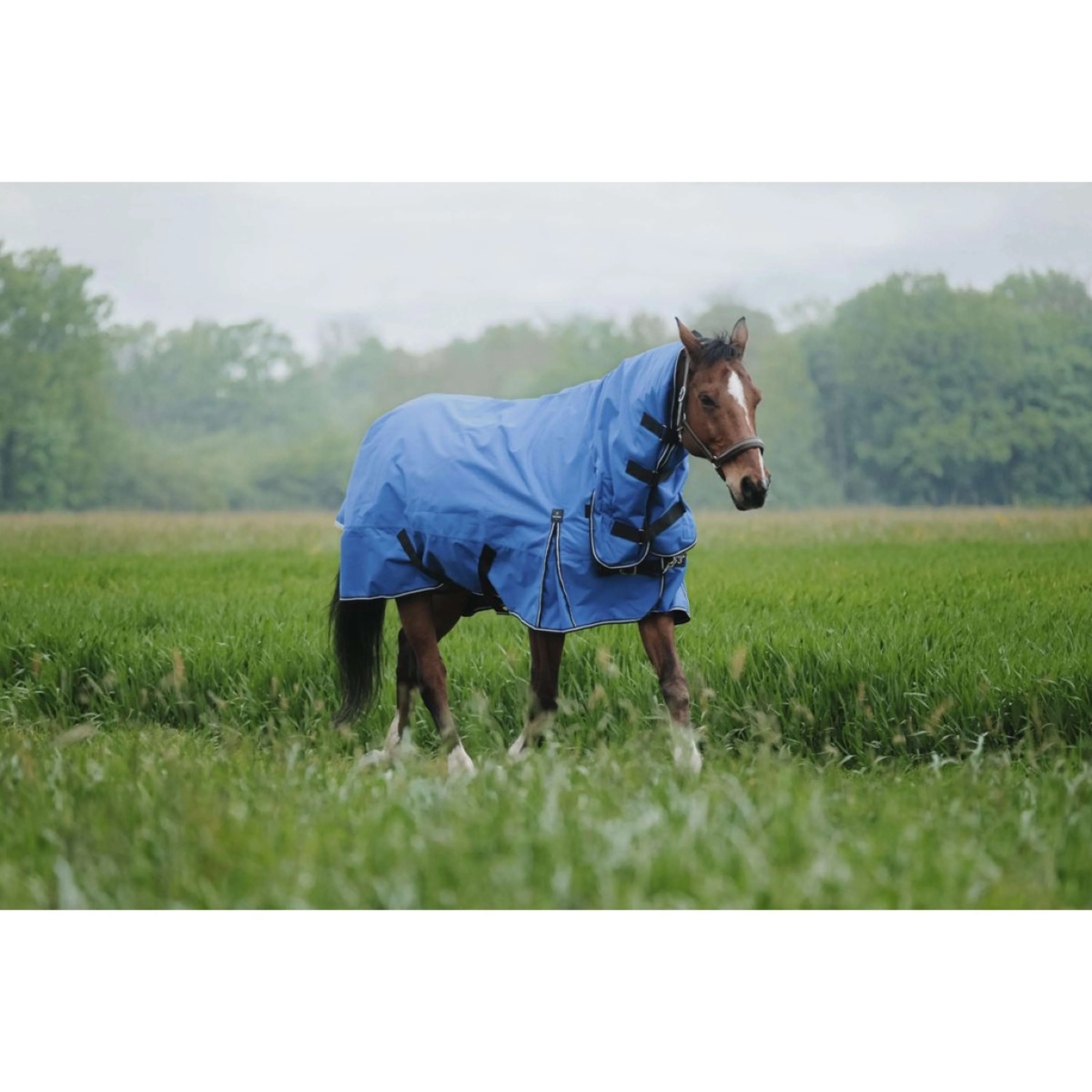 EQUITHÈME Tappeto da Esterno 1200D 300g Aisance Combo Royal Blue - Image 3