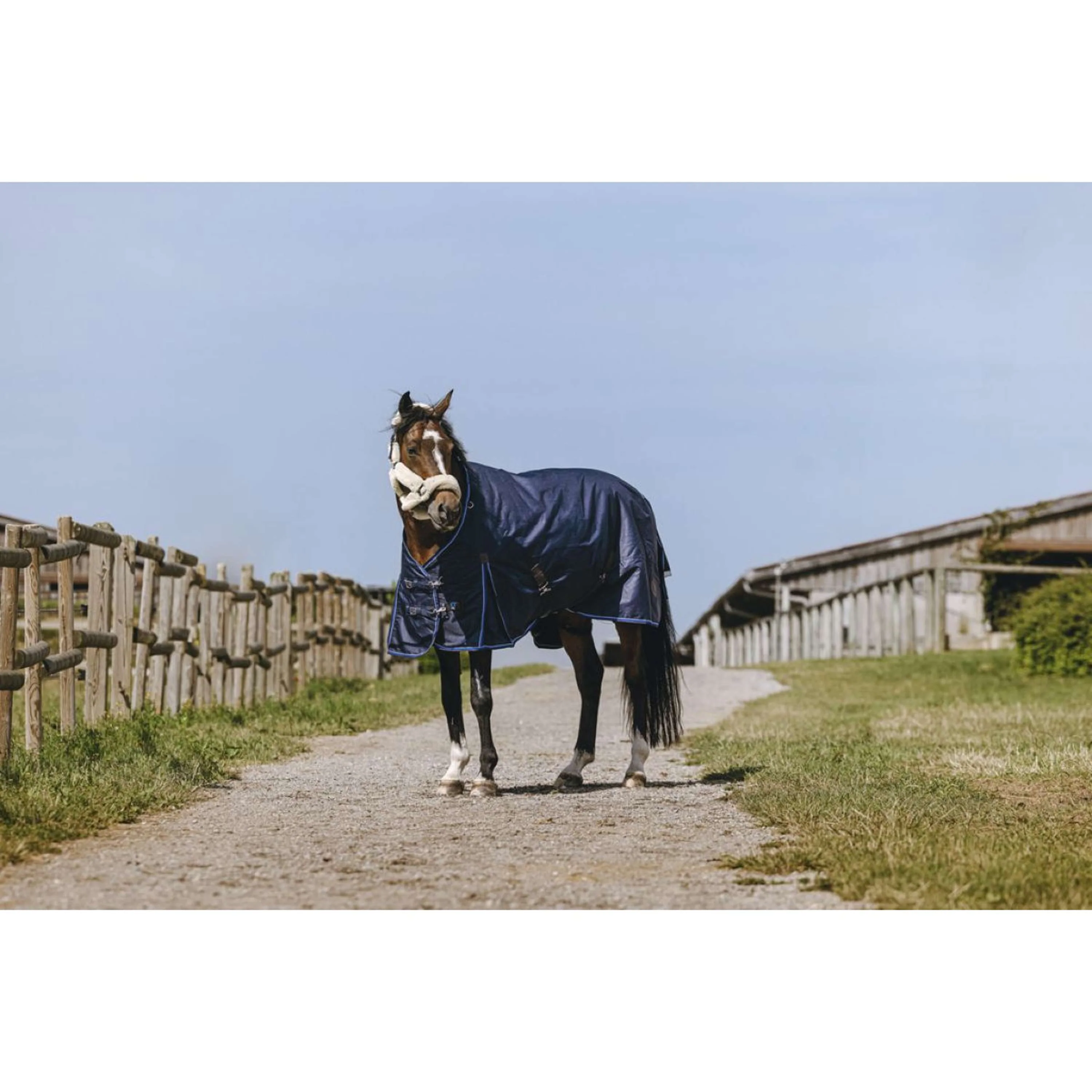 EQUITHÈME Tappeto da Esterno Classic 1200D High Neck 200g Navy - Image 2