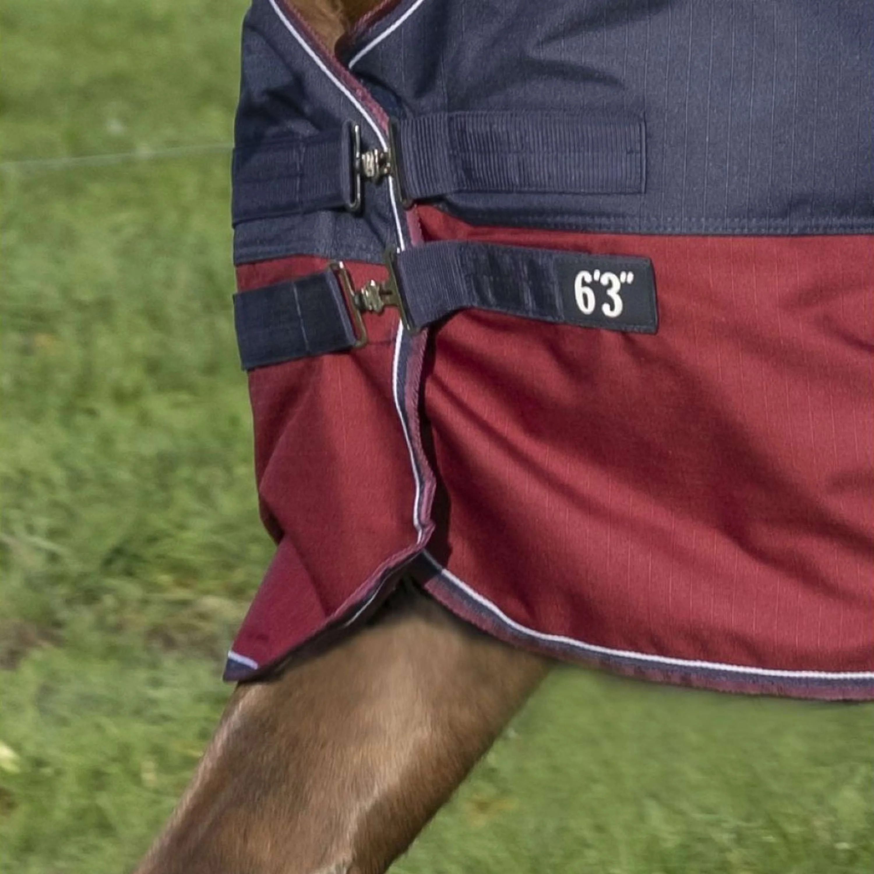 EQUITHÈME Tappeto da Esterno Tyrex 1200D 0g con Mezza Collo Navy/Bordeaux - Image 2