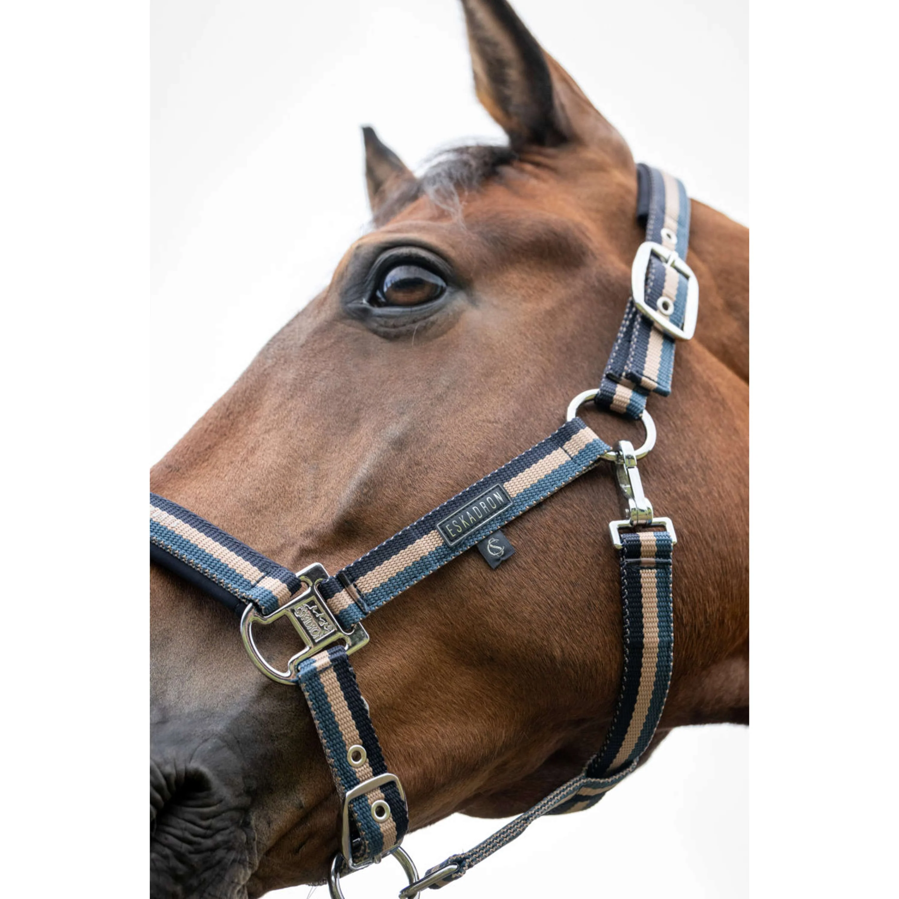 Eskadron Cavezza Classic Sports Double Pin Ocean/Sierra/Navy - Image 2