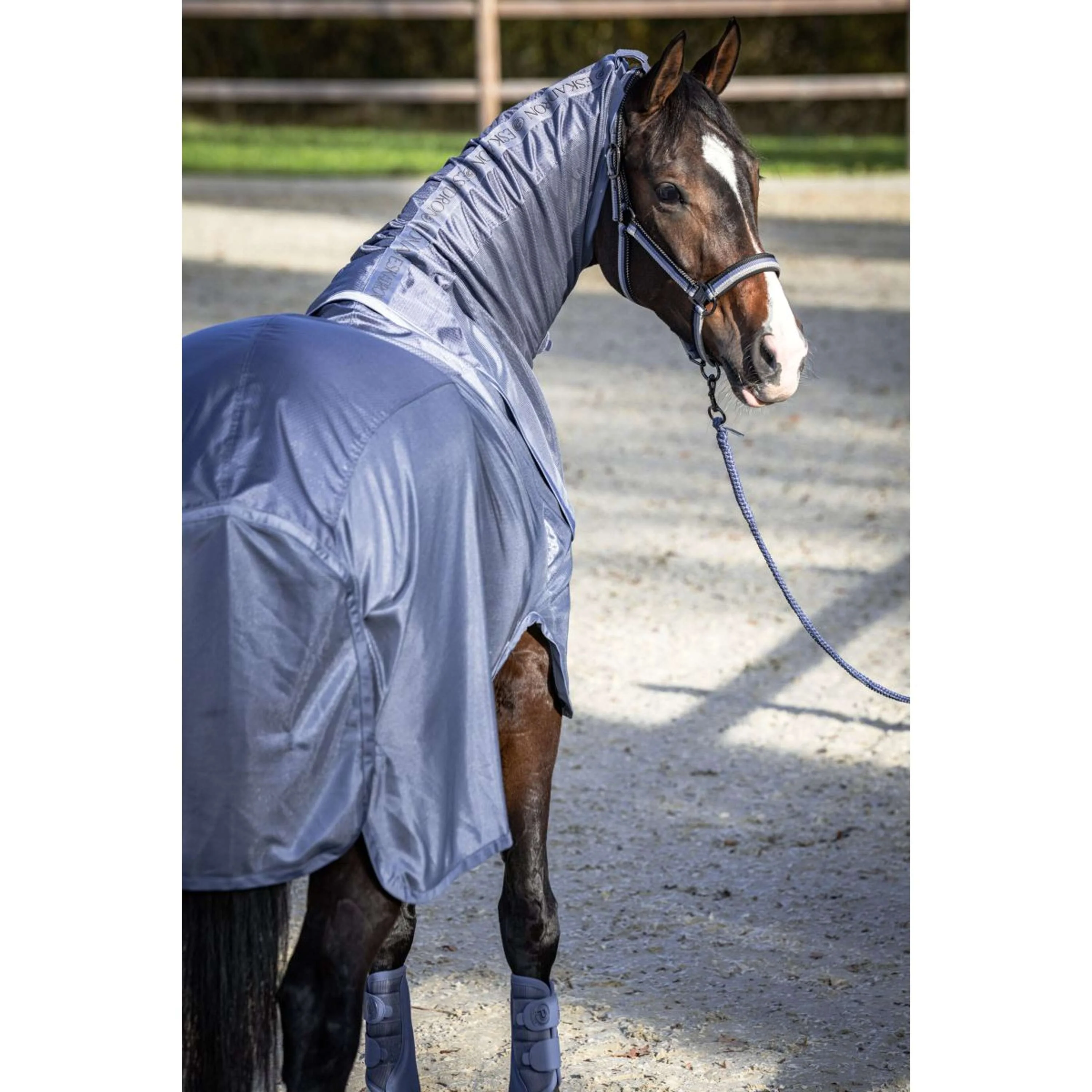 Eskadron Coperta Antimosche Platinum '26 Waterproof con Cappuccio Rimovibile Slate Blue - Image 2