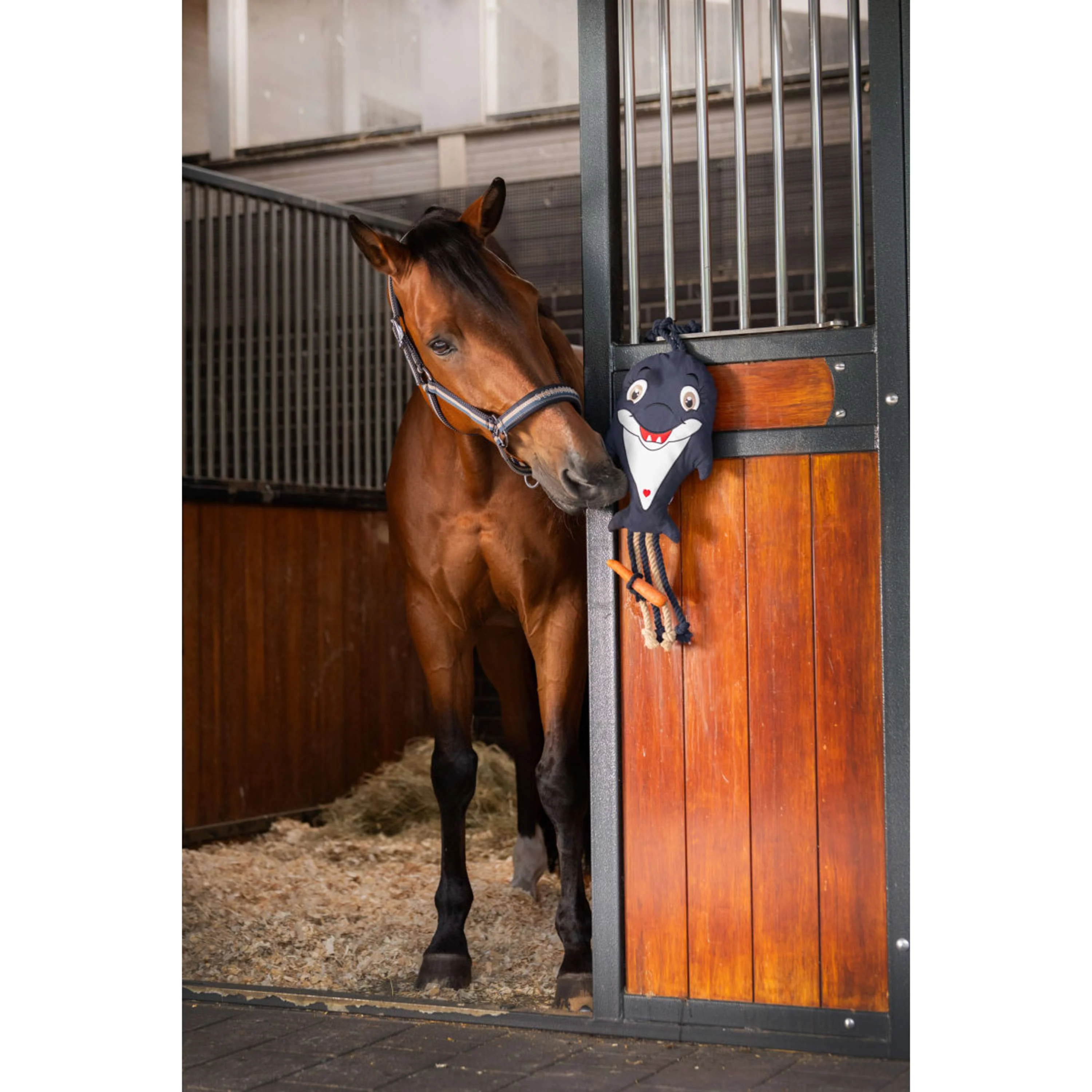 Eskadron Giocattoli Classic Sports Navy - Image 2
