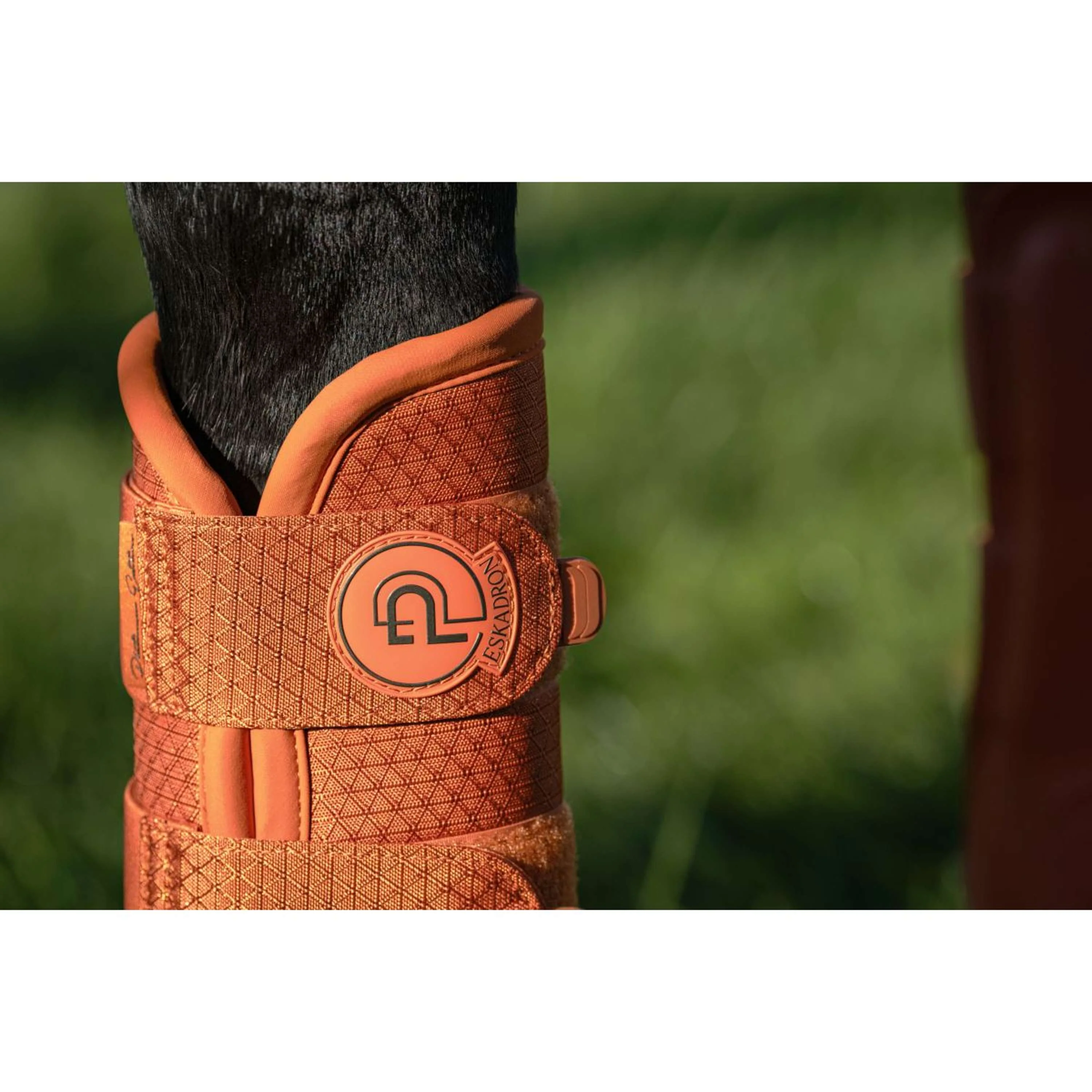 Eskadron Stivali da dressage Platinum '26 1200D Sparkle Amber - Image 3