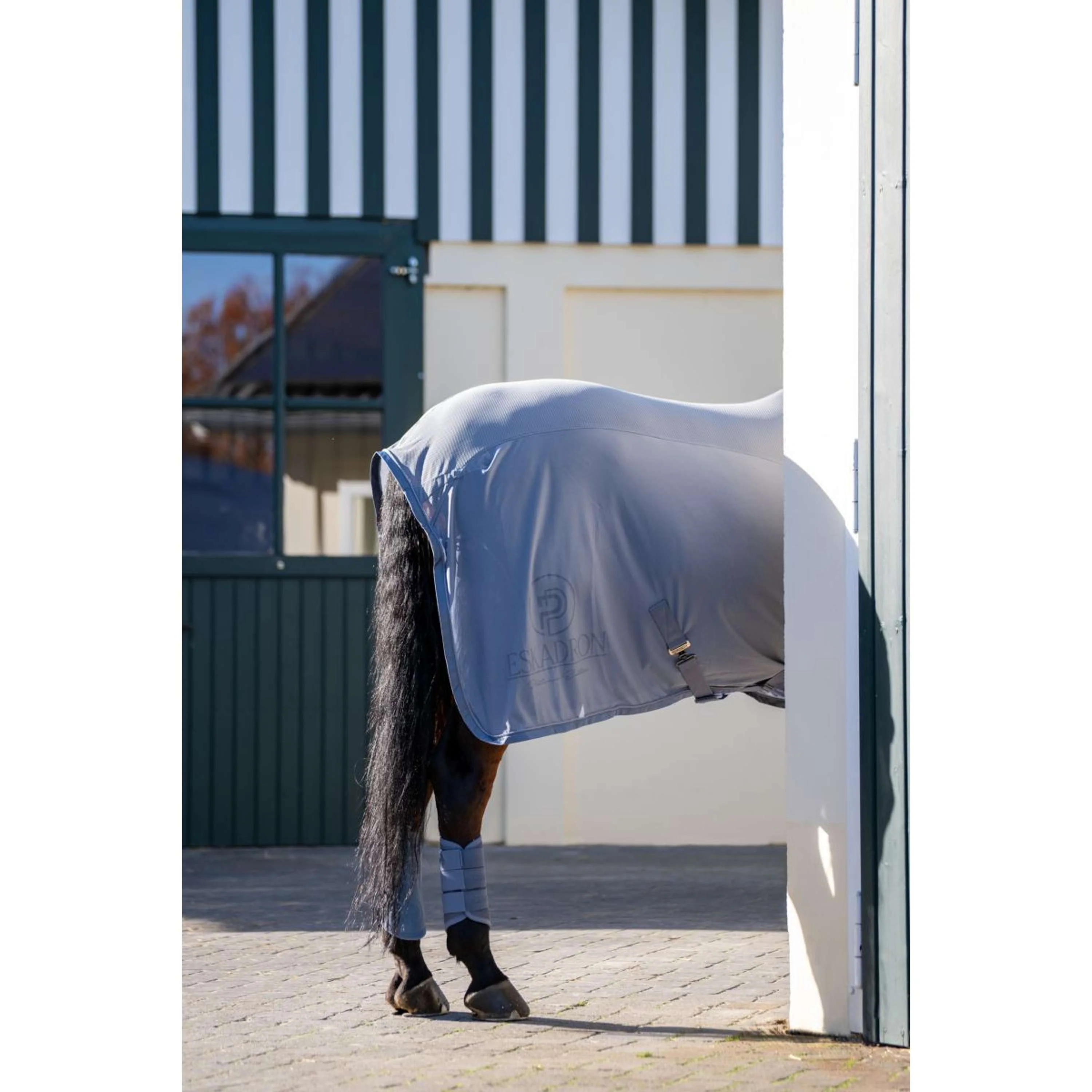 Eskadron Stivali da dressage Platinum '26 Mesh Pale Grey - Image 4