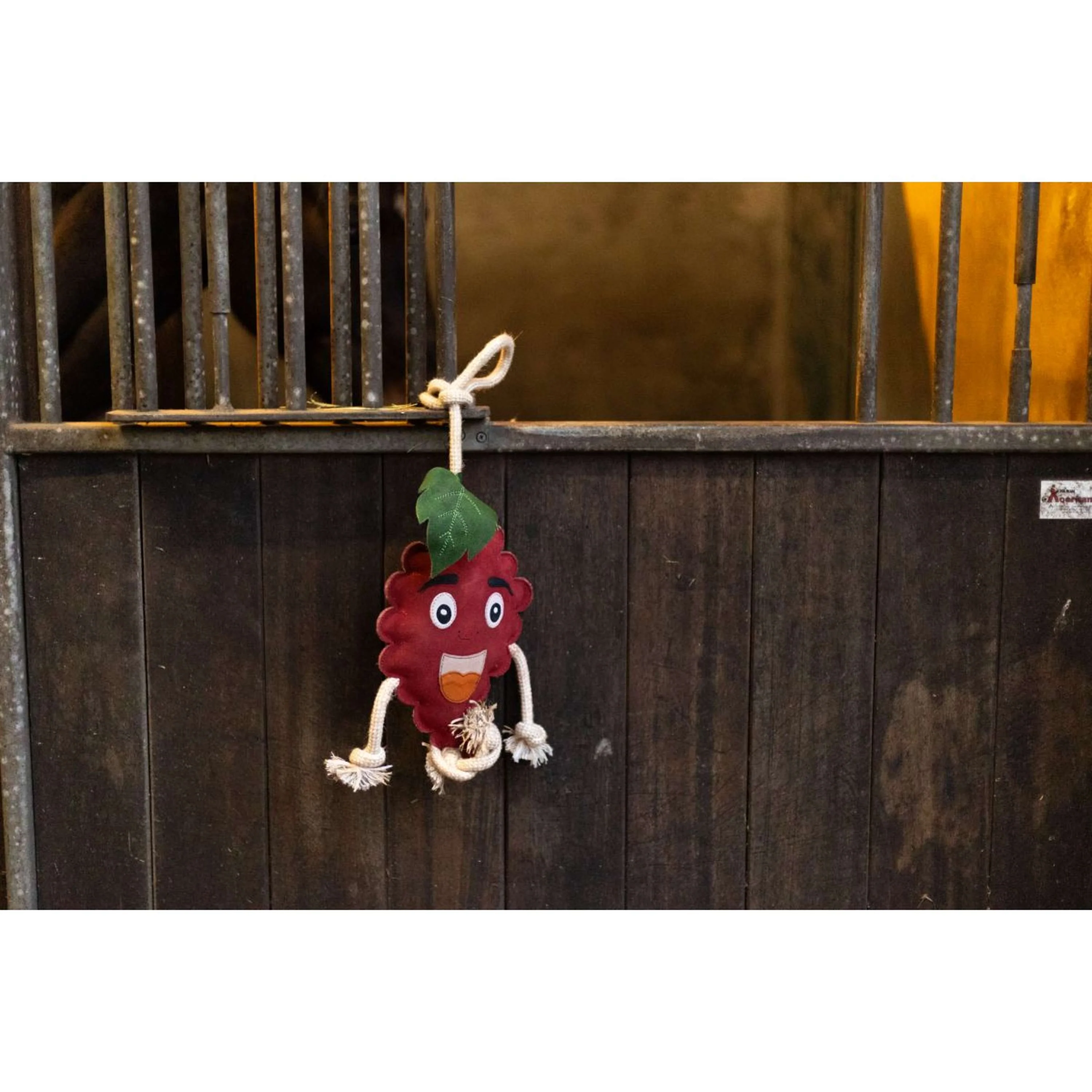 Excellent Horse Foodie Friends Lampone - Image 2