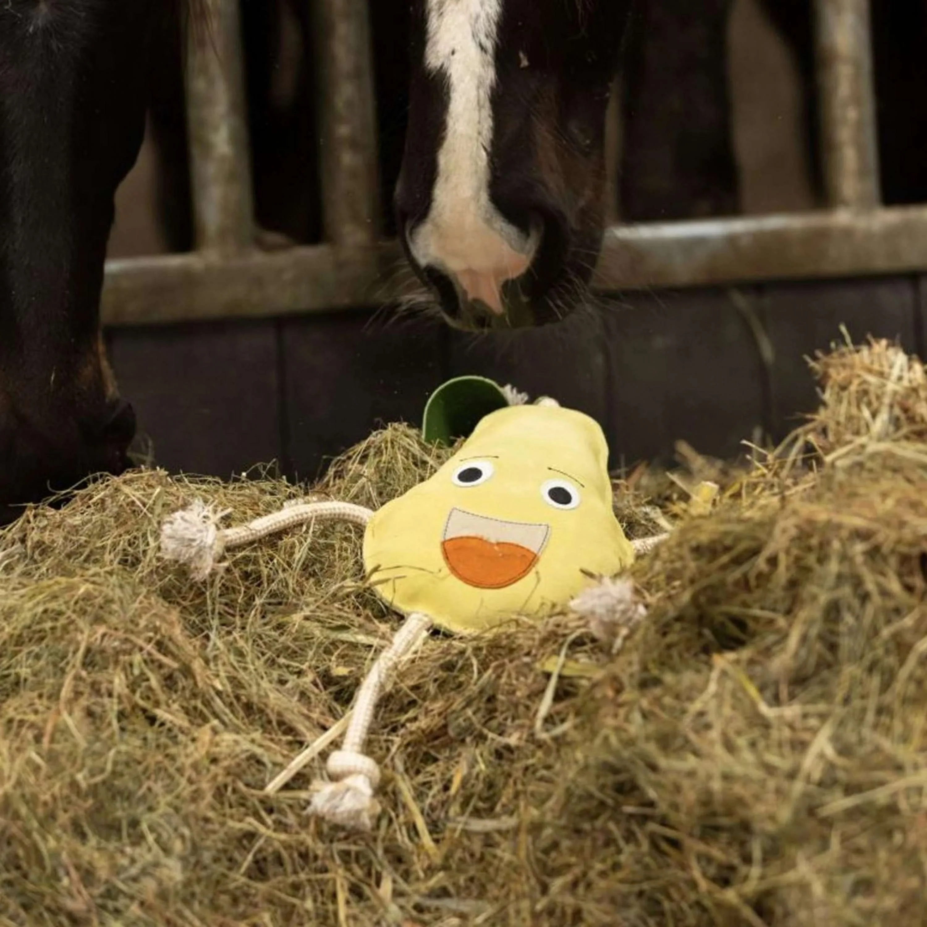 Excellent Horse Foodie Friends Pera - Image 2