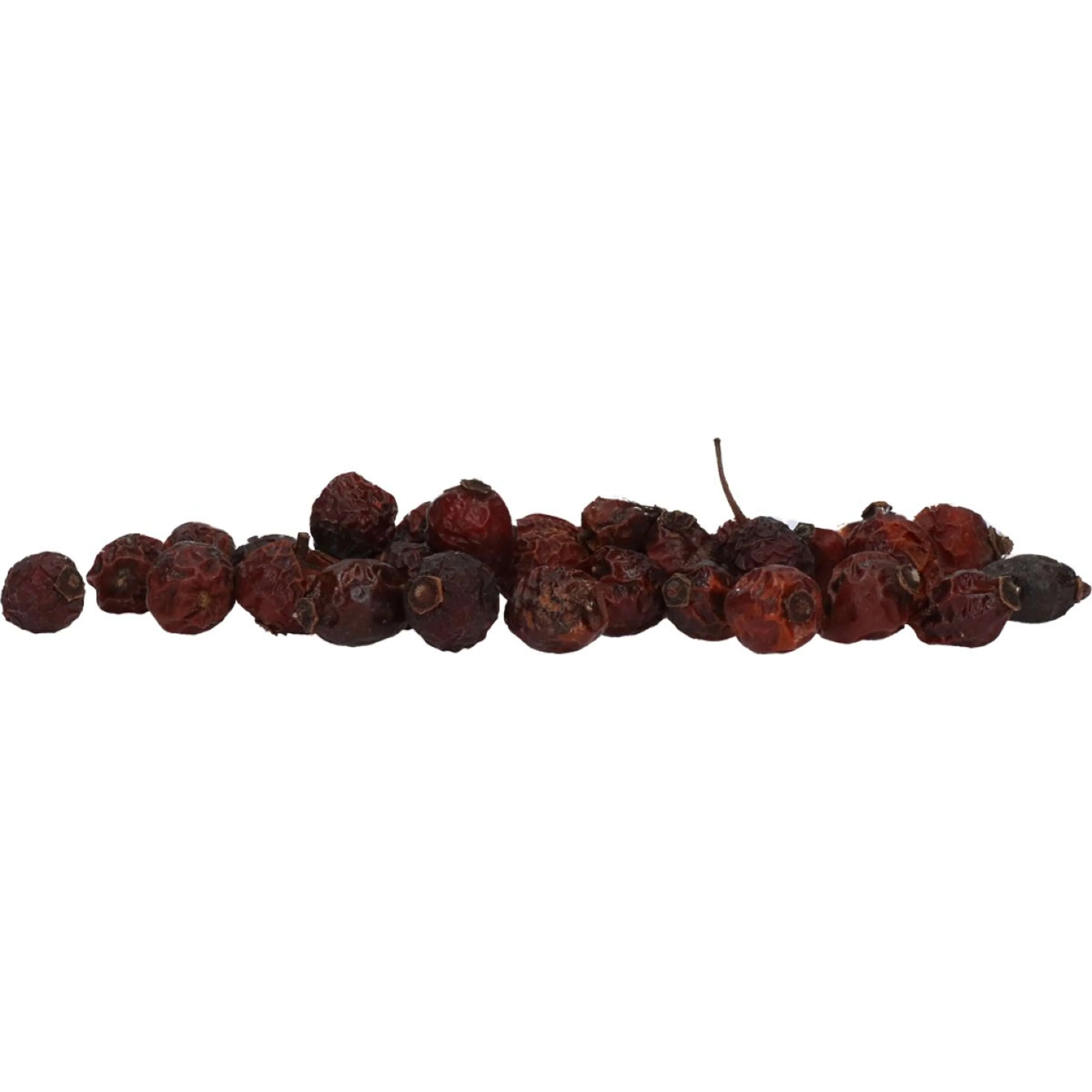 Excellent Rosa Canina Herbs - Image 4