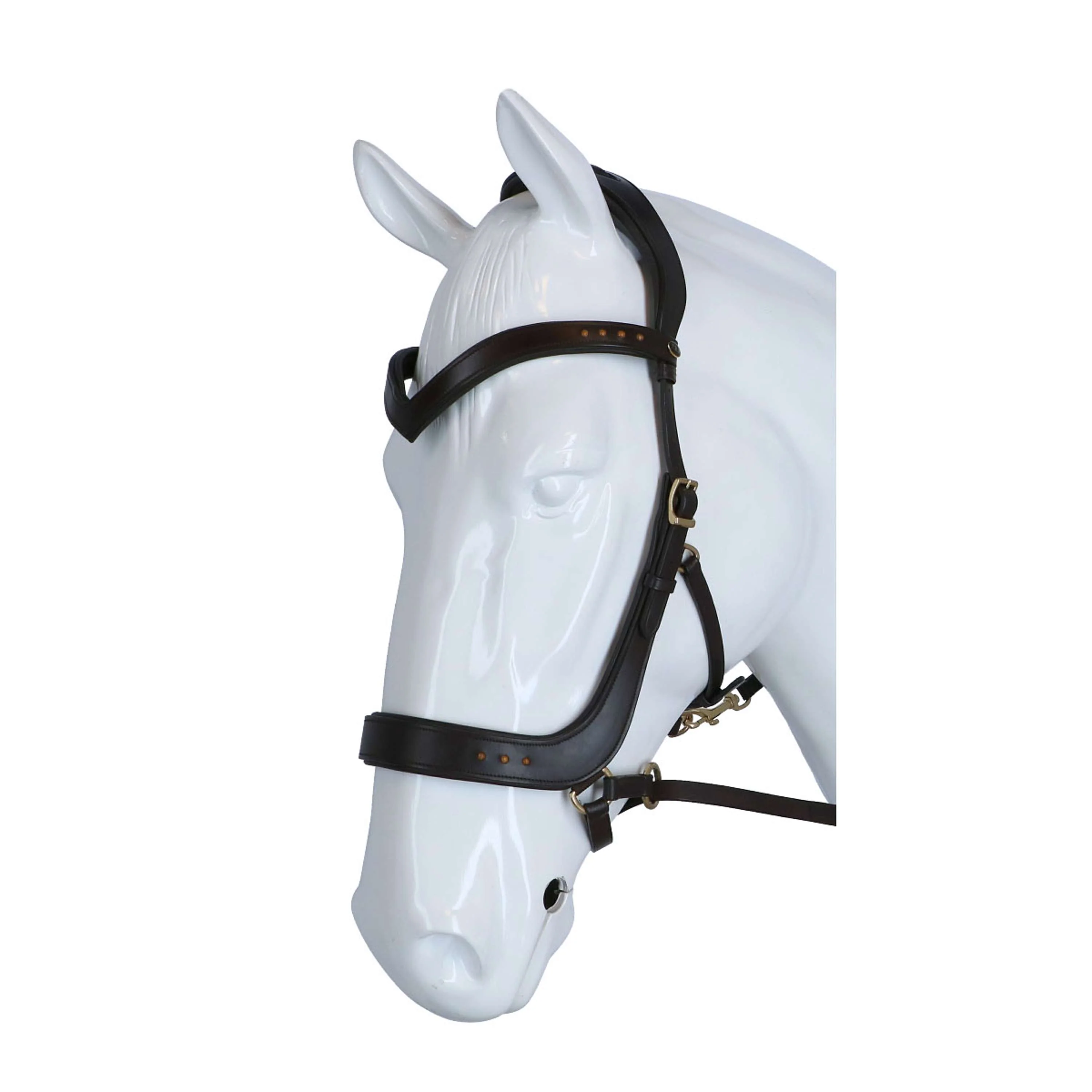 F.R.A. Briglia Glory Marrone - Image 2
