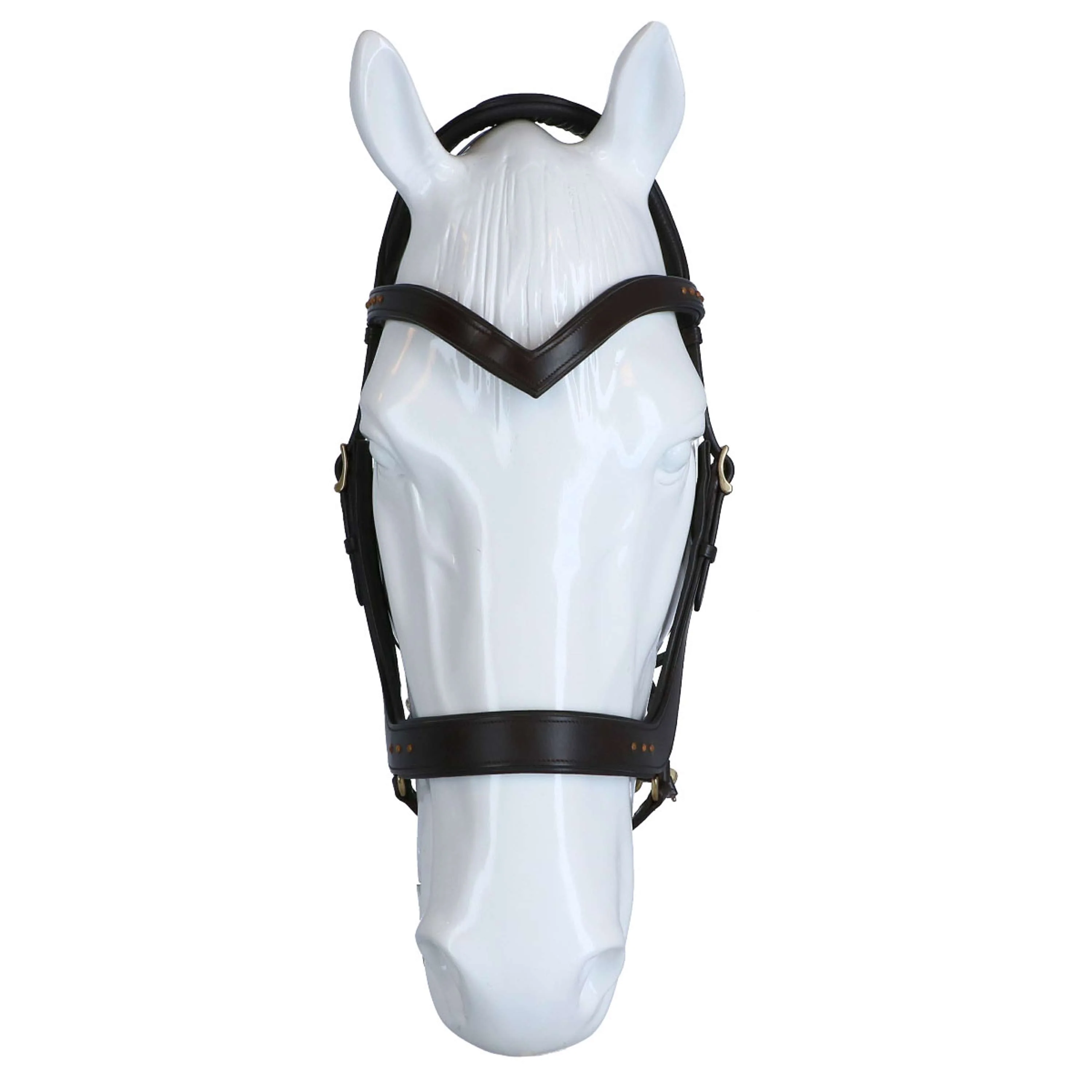 F.R.A. Briglia Glory Marrone - Image 3
