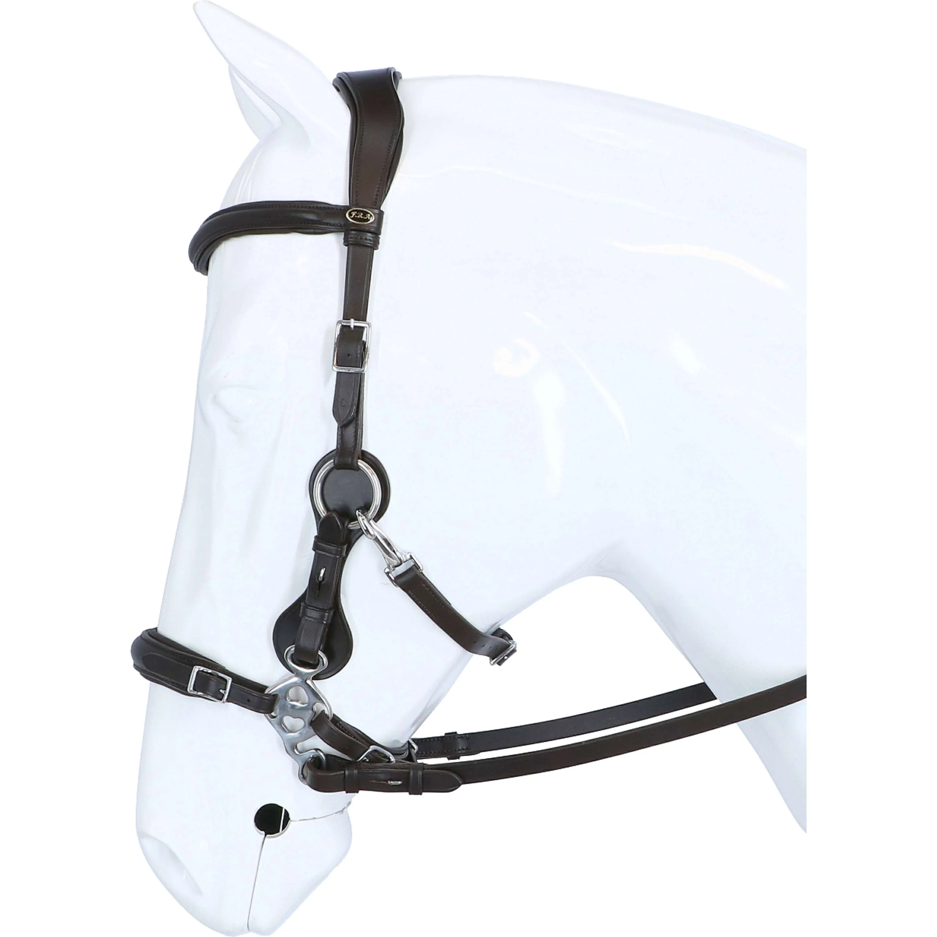 F.R.A. Hackamore Calli L'Avana