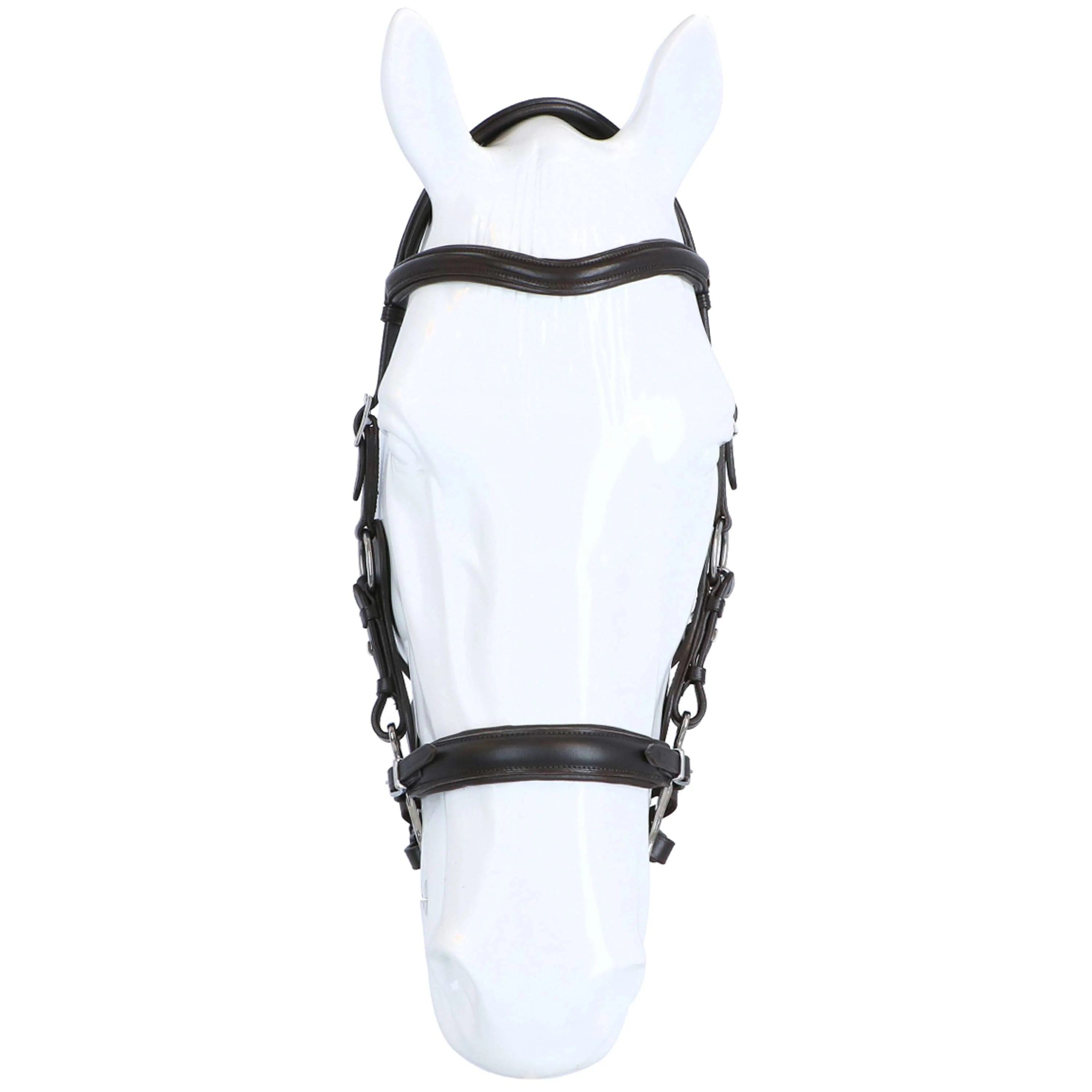 F.R.A. Hackamore Calli L'Avana - Image 3