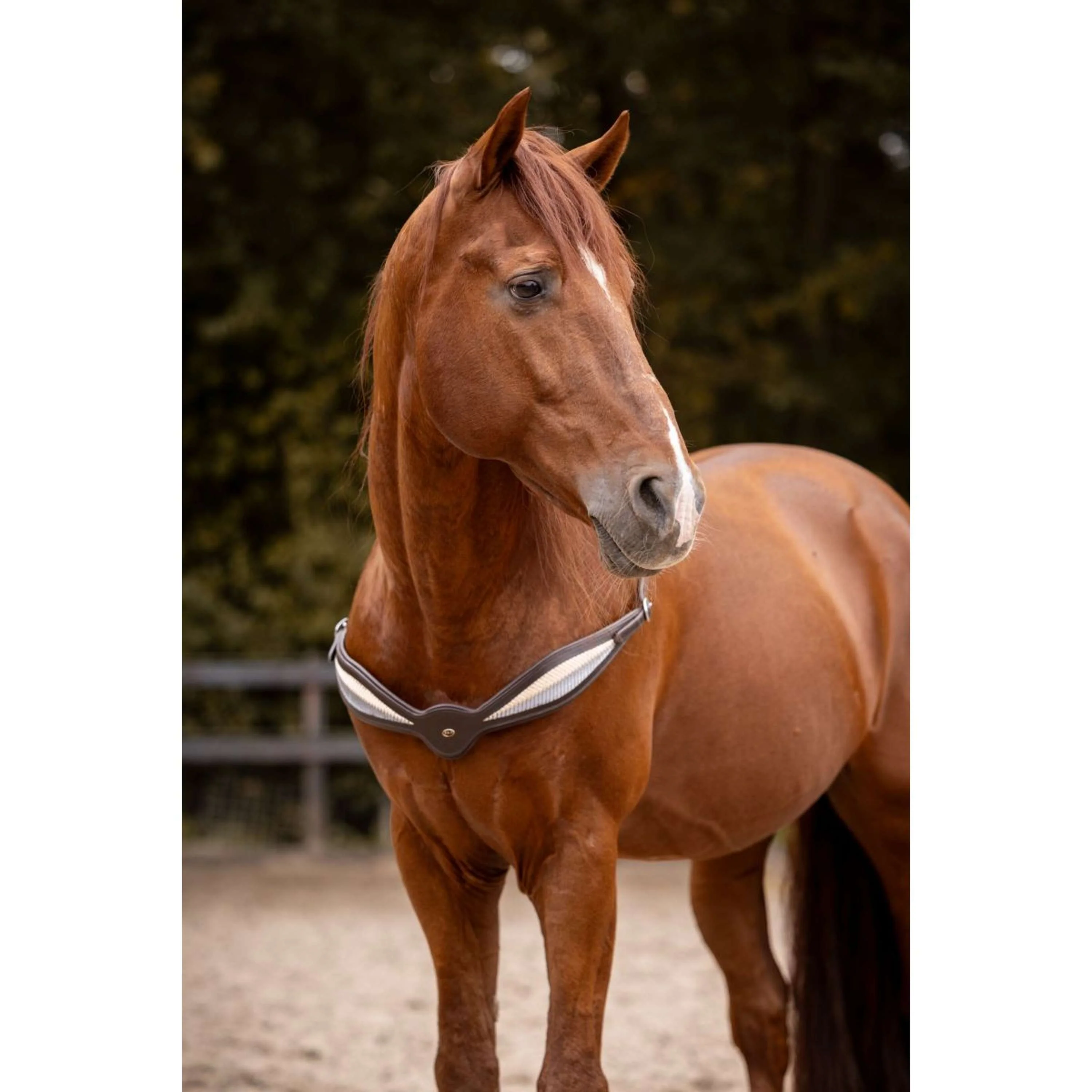 F.R.A. Redine di Equilibrio Whisper Marrone - Image 2