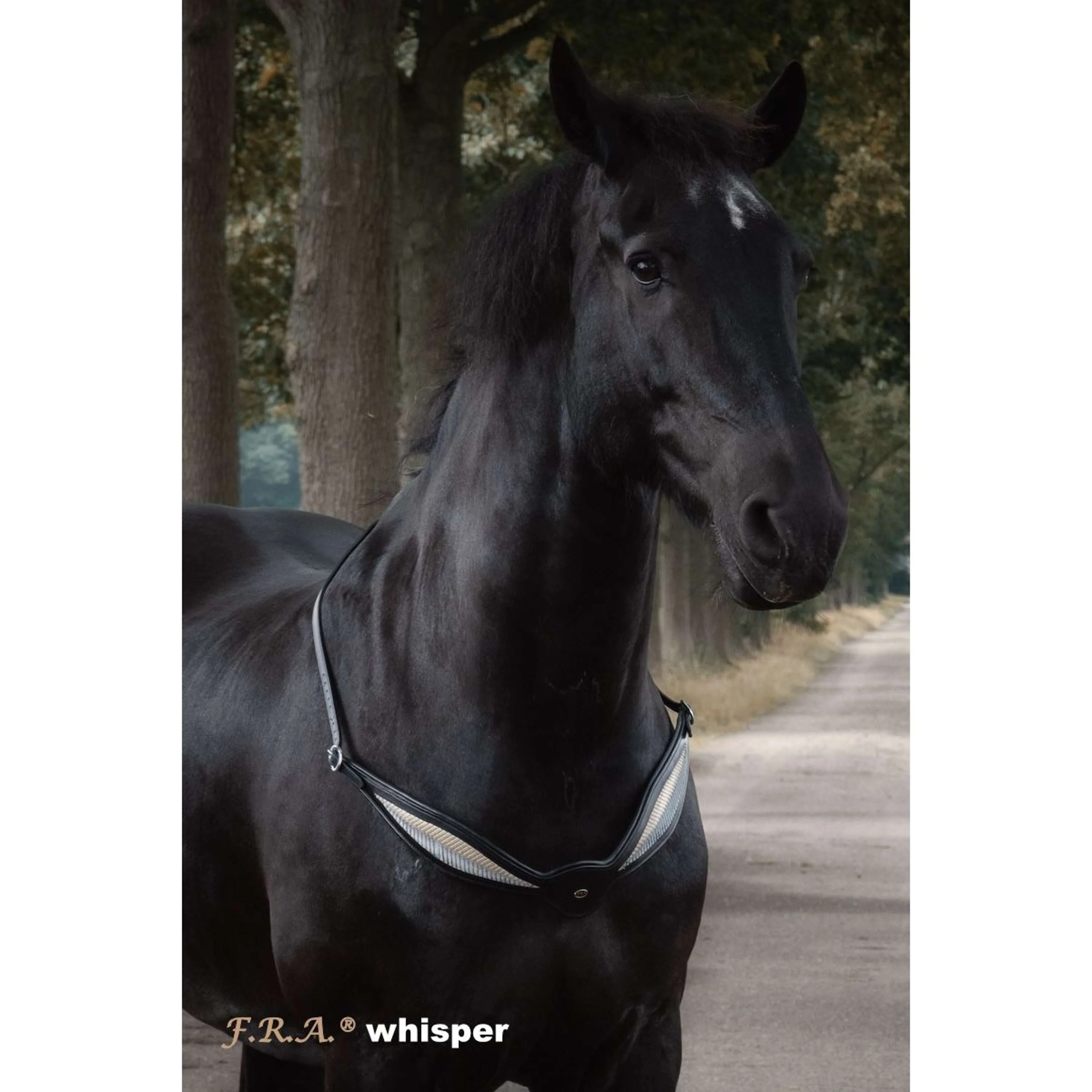 F.R.A. Redine di Equilibrio Whisper Nero - Image 8