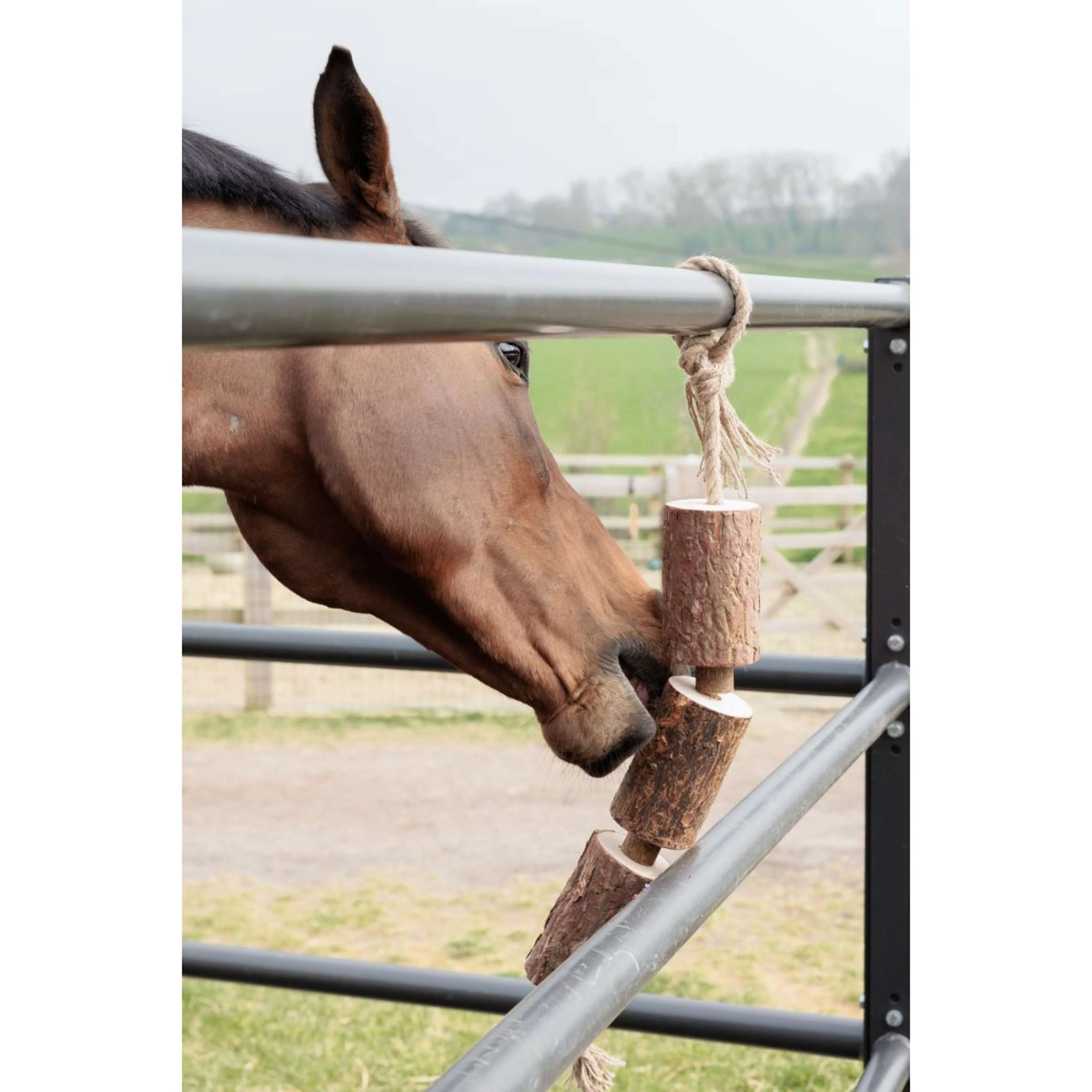 Grooming Deluxe by Kentucky Rilassa il cavallo giocattolo Wooden Made by Nature - Image 4