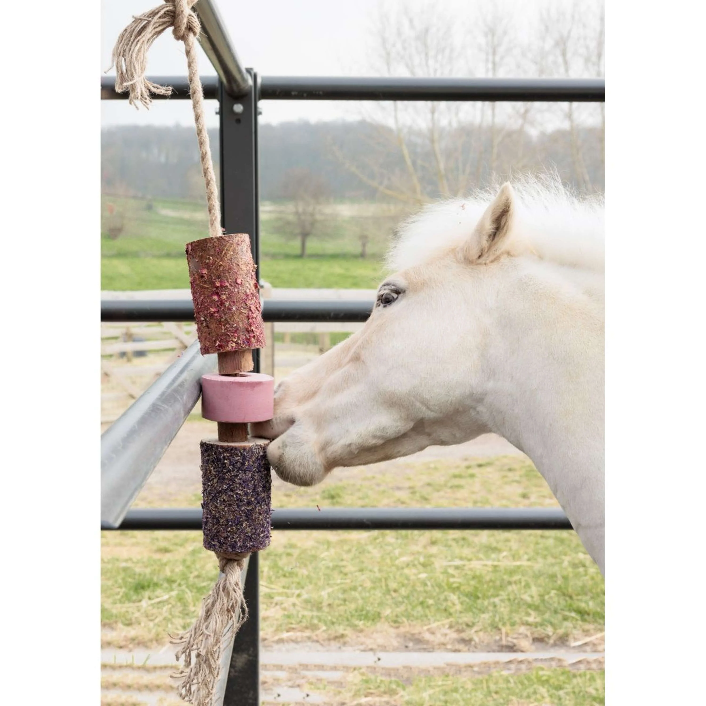 Grooming Deluxe by Kentucky Rilassa il cavallo giocattolo Wooden Sammy with Salt Lick - Image 3