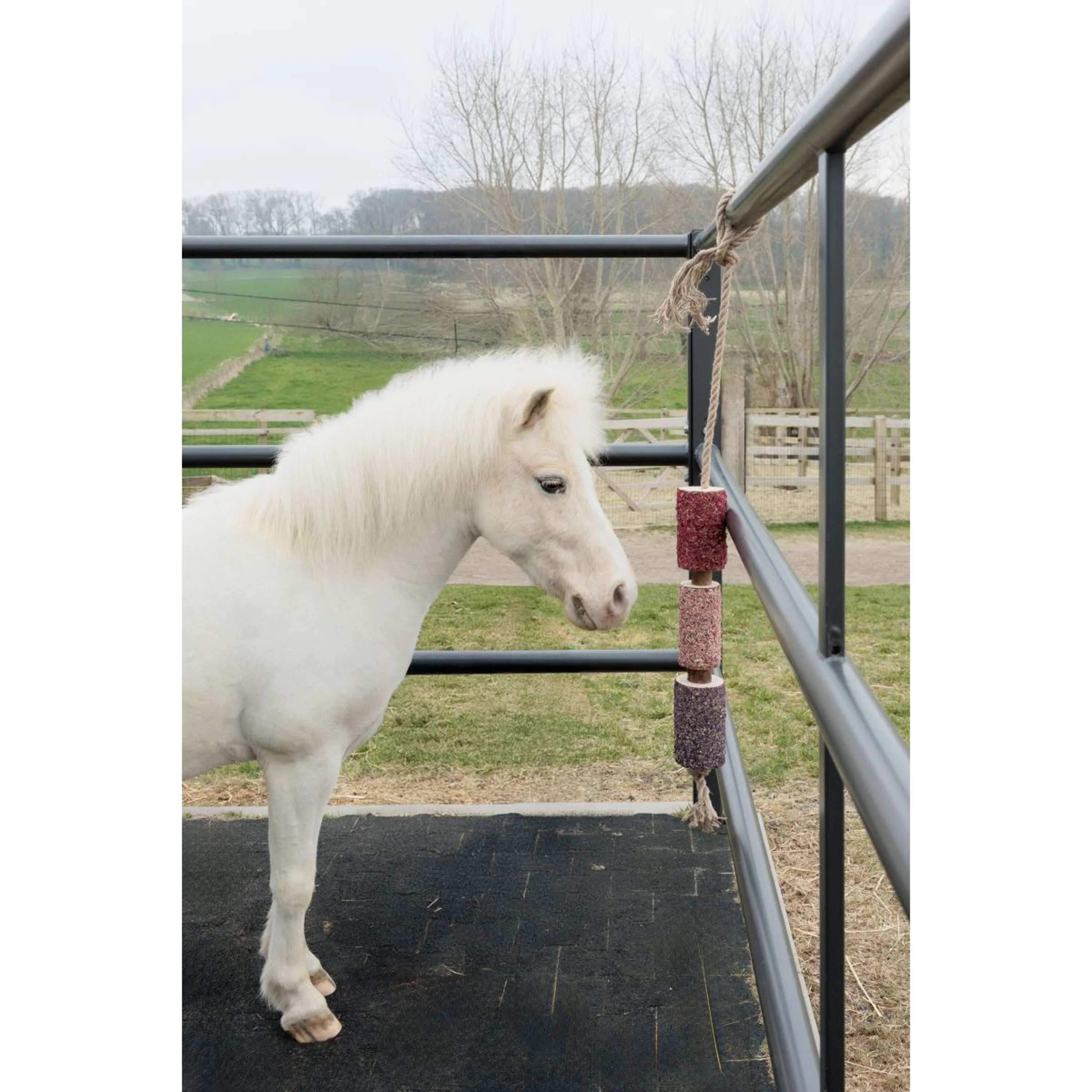 Grooming Deluxe by Kentucky Rilassa il cavallo giocattolo Wooden Unicorn Joy - Image 4