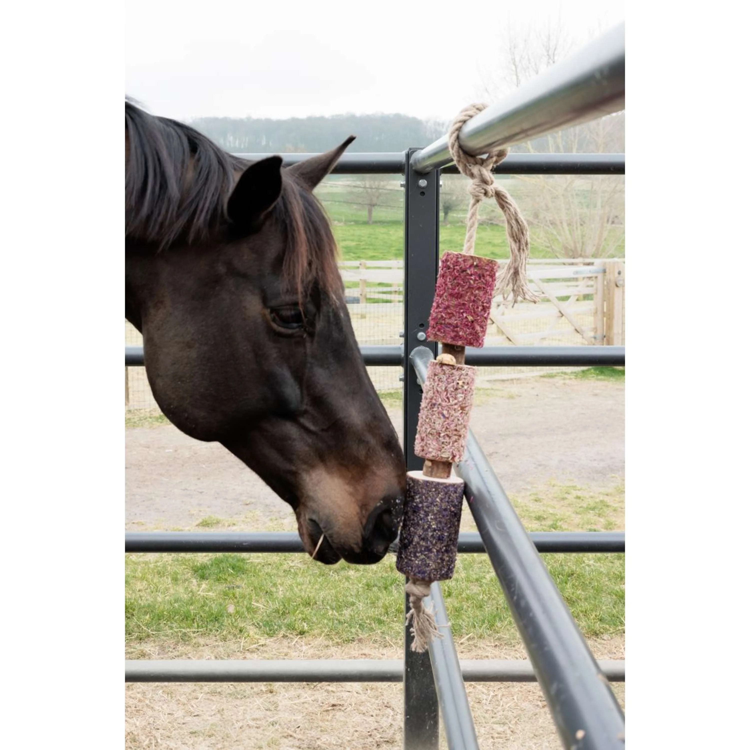 Grooming Deluxe by Kentucky Rilassa il cavallo giocattolo Wooden Unicorn Joy - Image 5