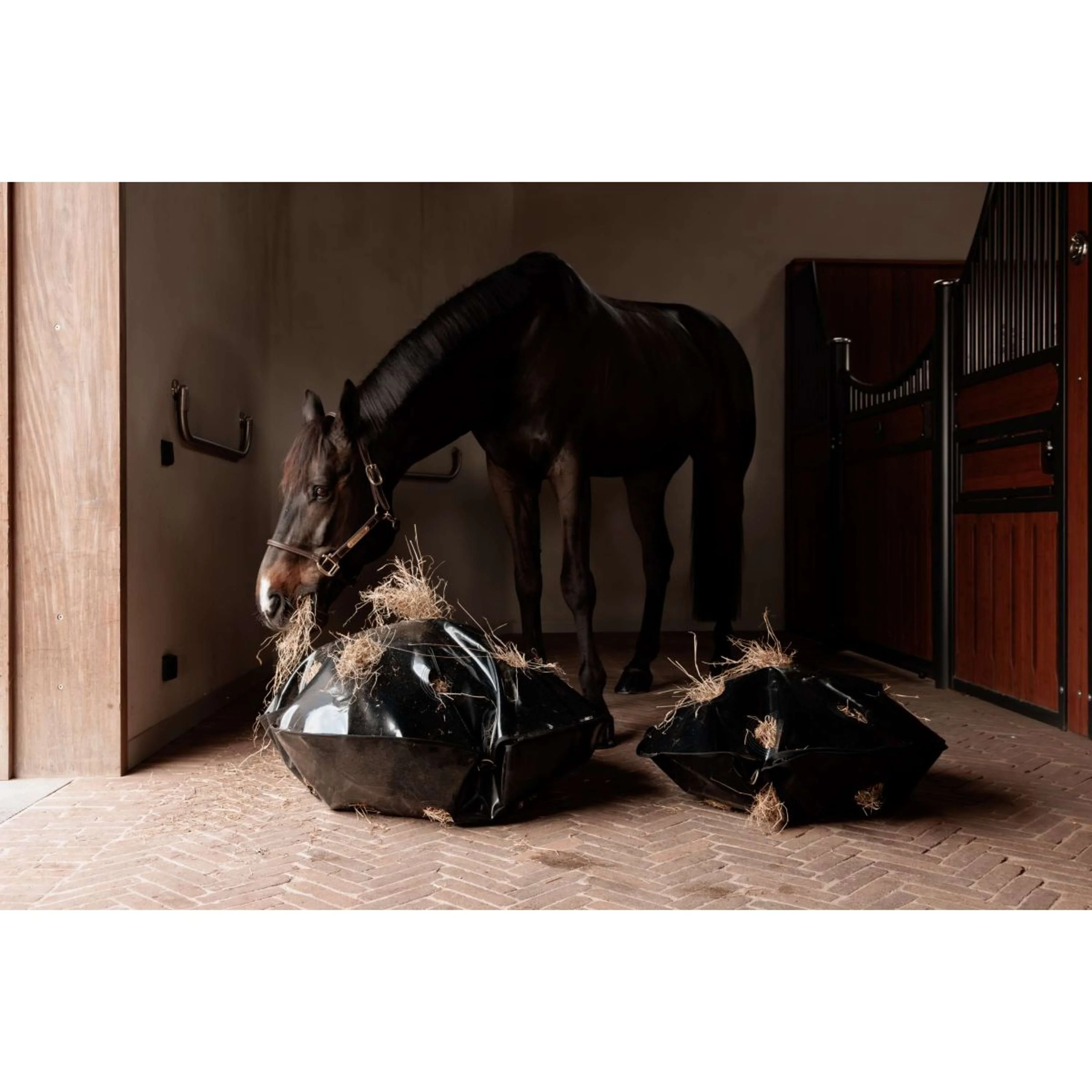 Grooming Deluxe by Kentucky Slow Feeder Play & Haybag Round - Image 4