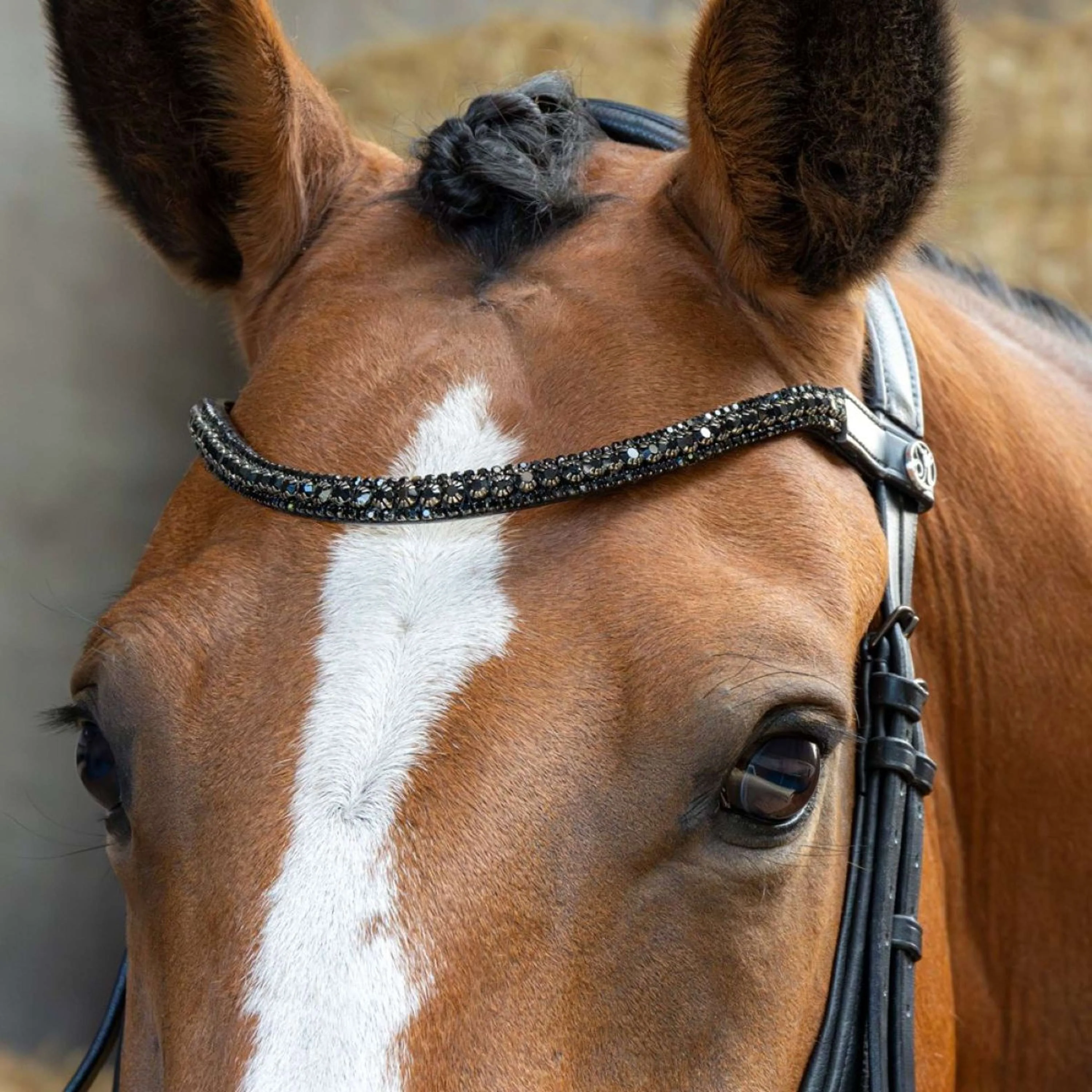 Harry's Horse Briglia Anatomic Black Crystal Nero - Image 3