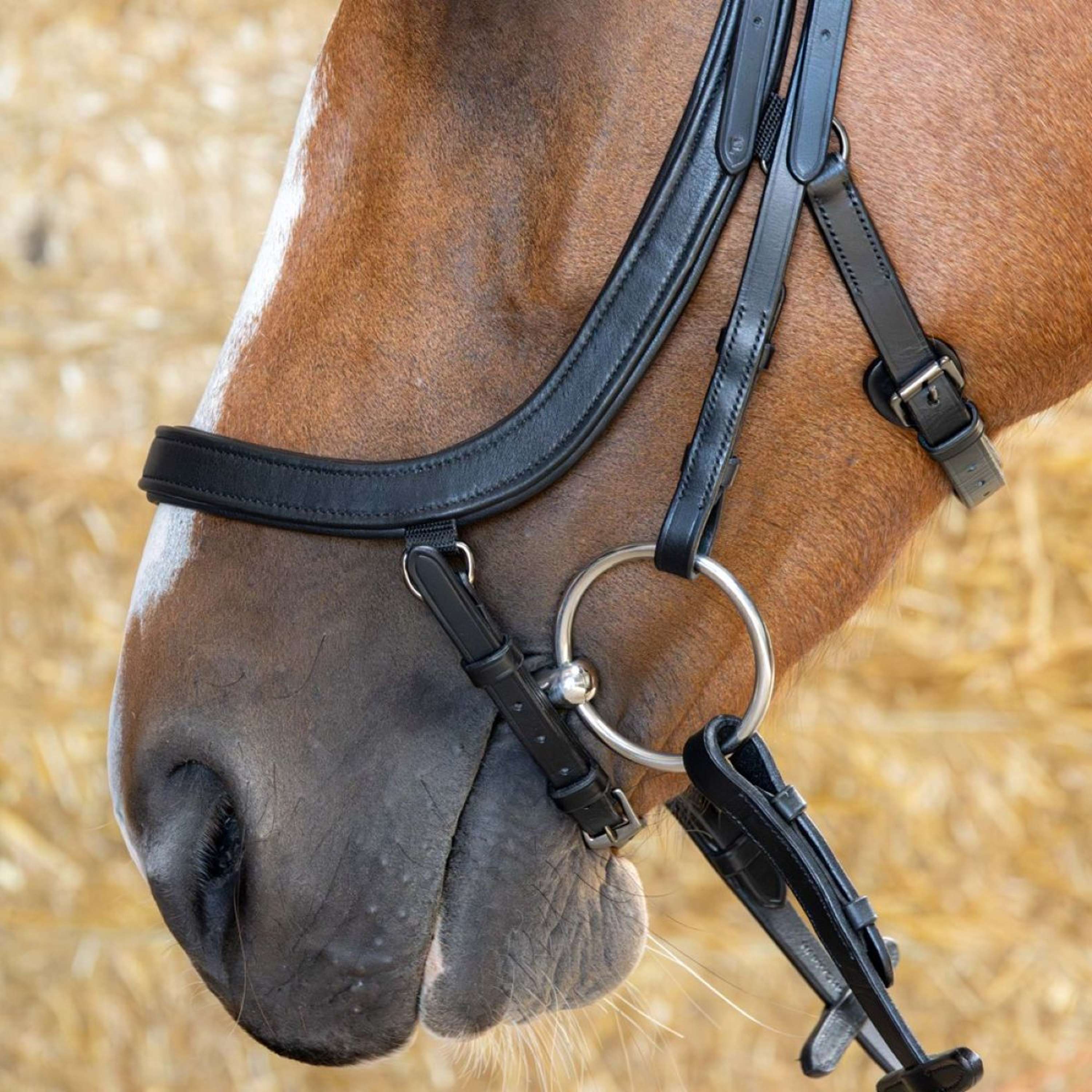 Harry's Horse Briglia Anatomic Black Crystal Nero - Image 5