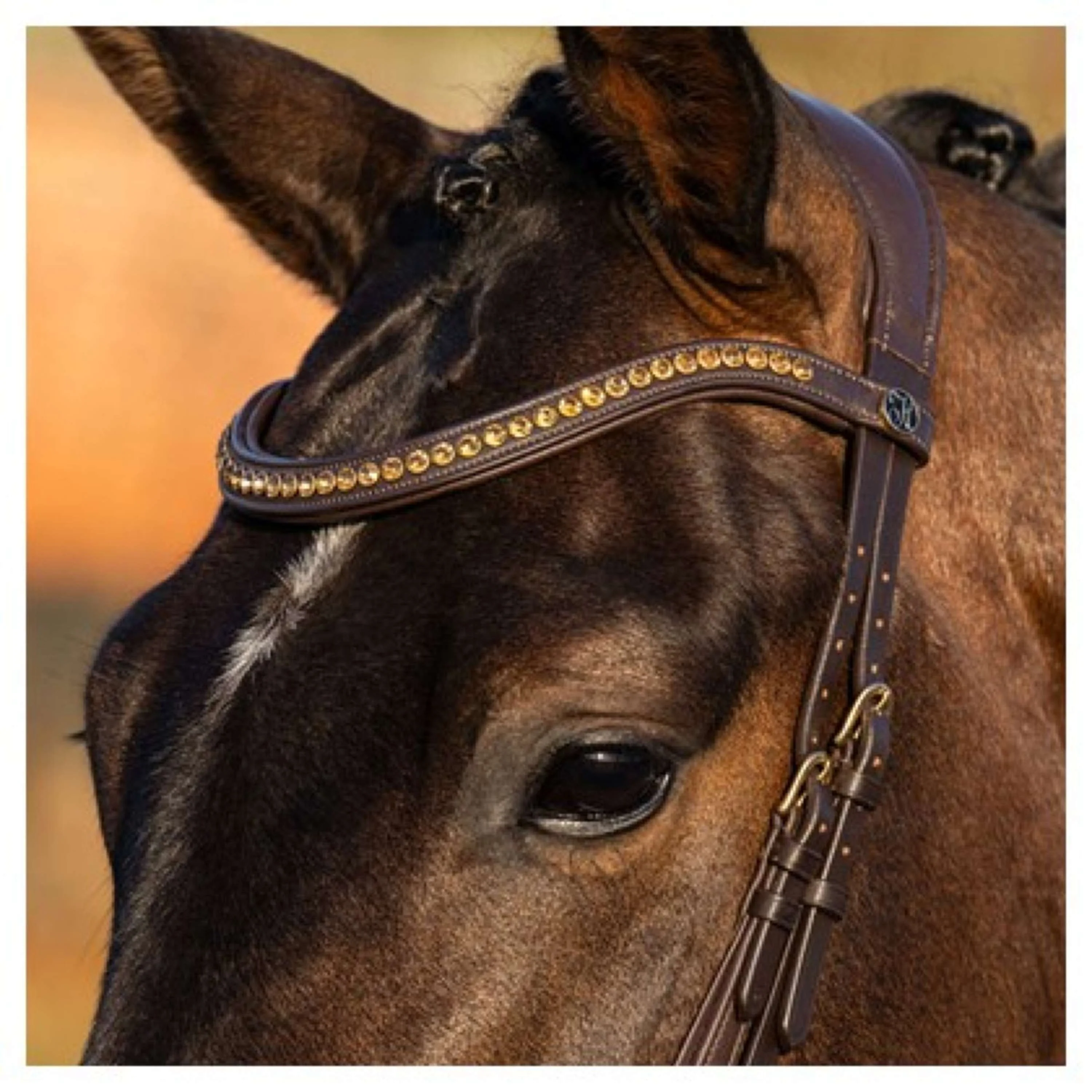 Harry's Horse Briglia Anatomic Gold Marrone - Image 4