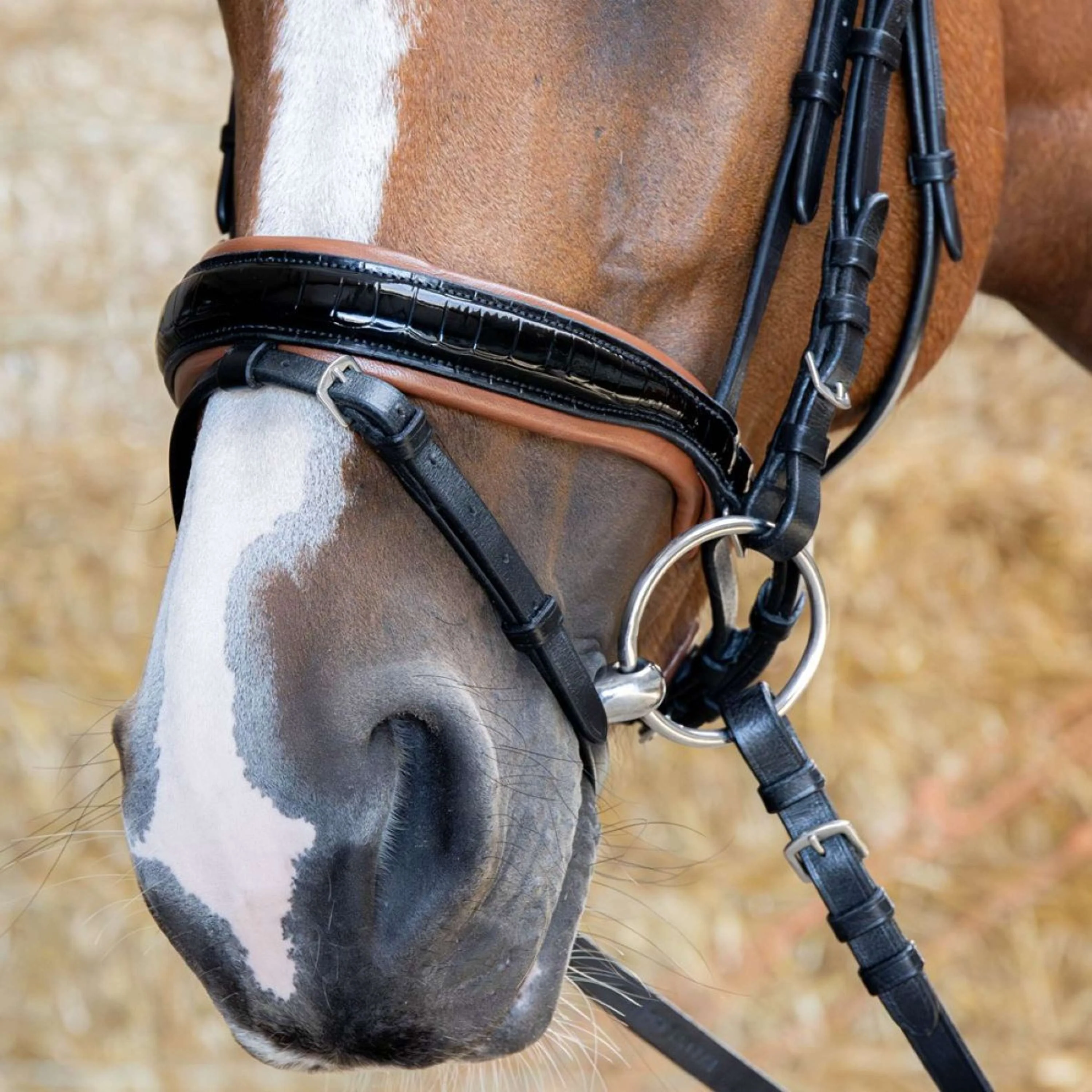 Harry's Horse Briglia Black Cognac Nero - Image 6