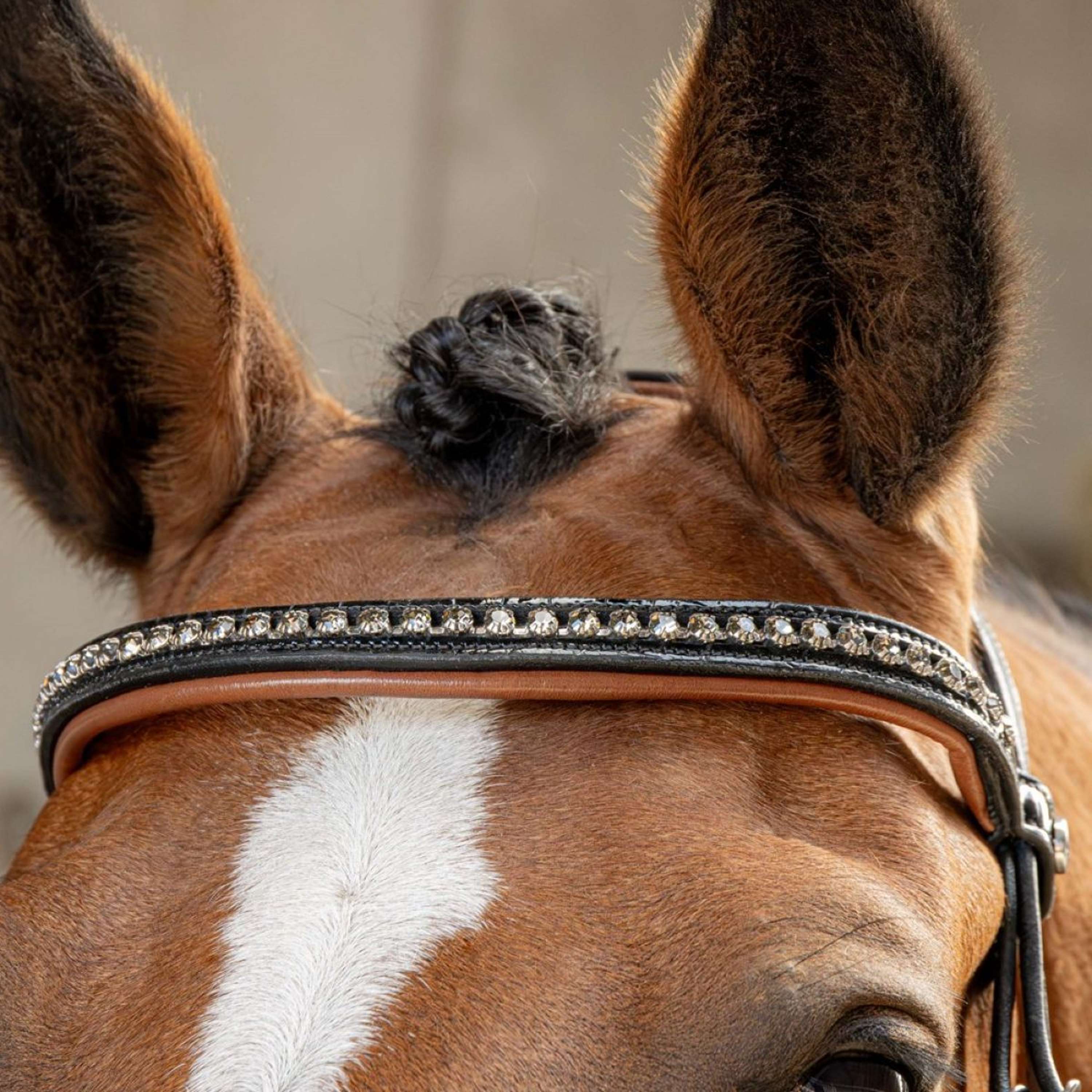 Harry's Horse Briglia Black Cognac Nero - Image 8