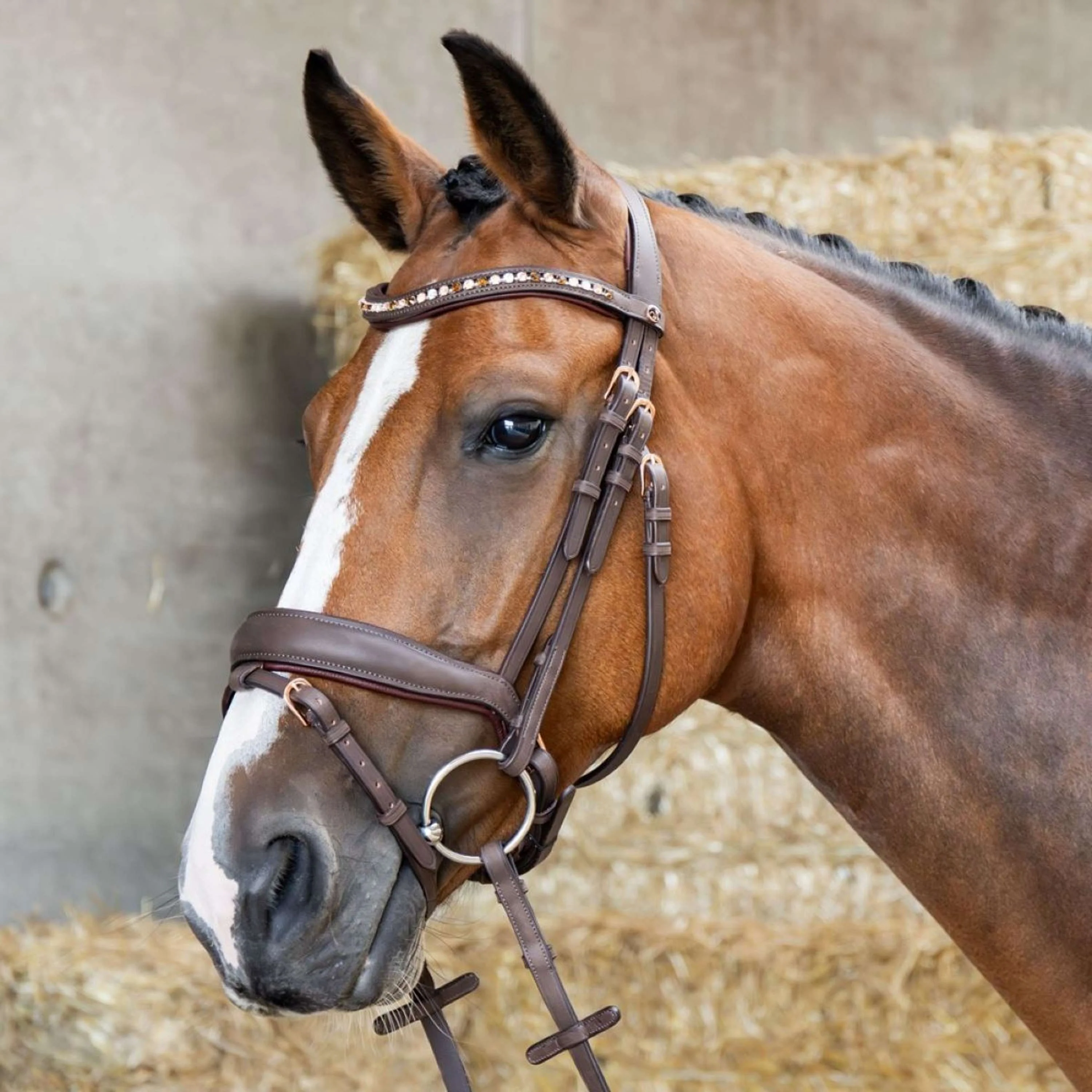 Harry's Horse Briglia Bombastic Crystals Marrone - Image 2
