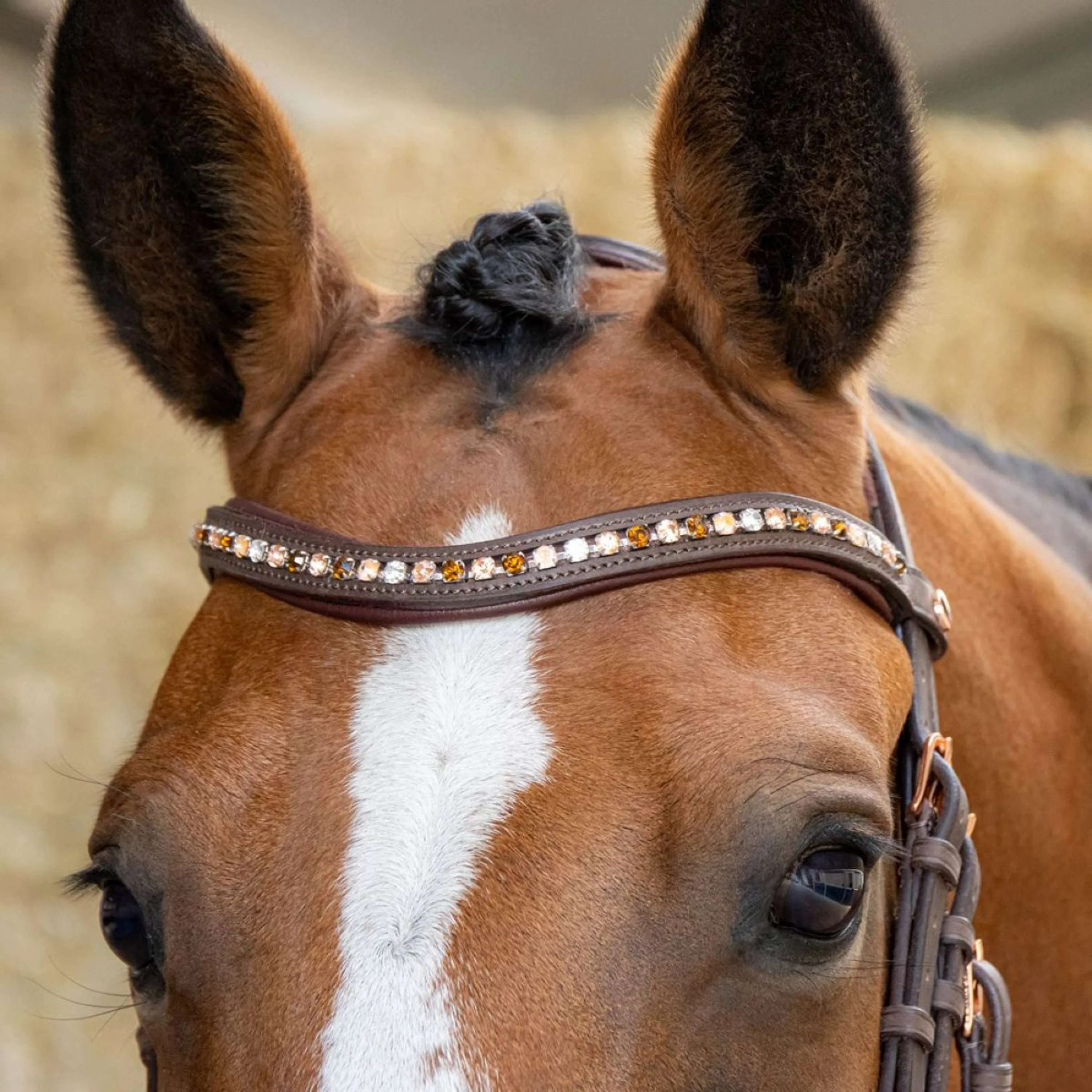 Harry's Horse Briglia Bombastic Crystals Marrone - Image 4