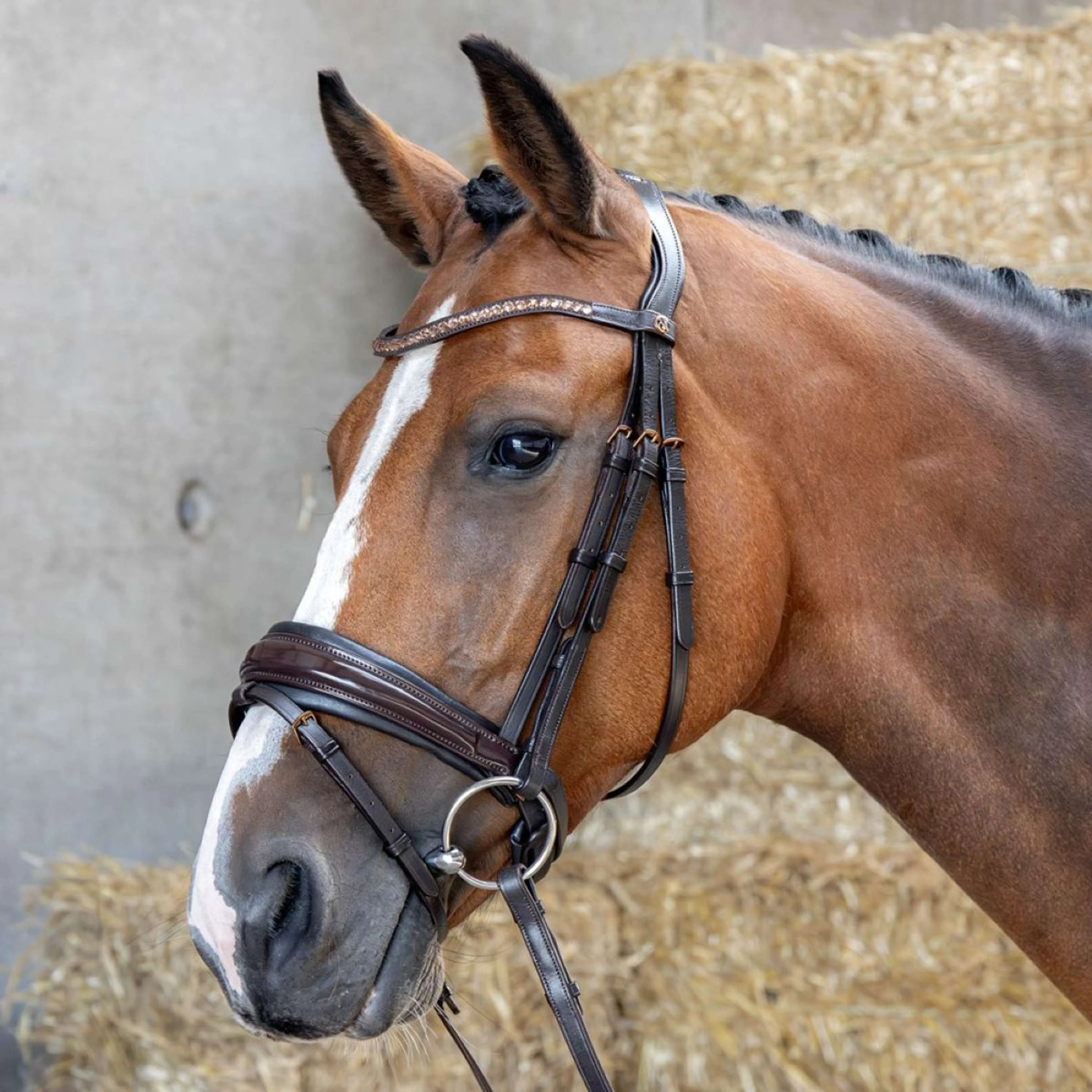 Harry's Horse Briglia Copper Marrone - Image 2
