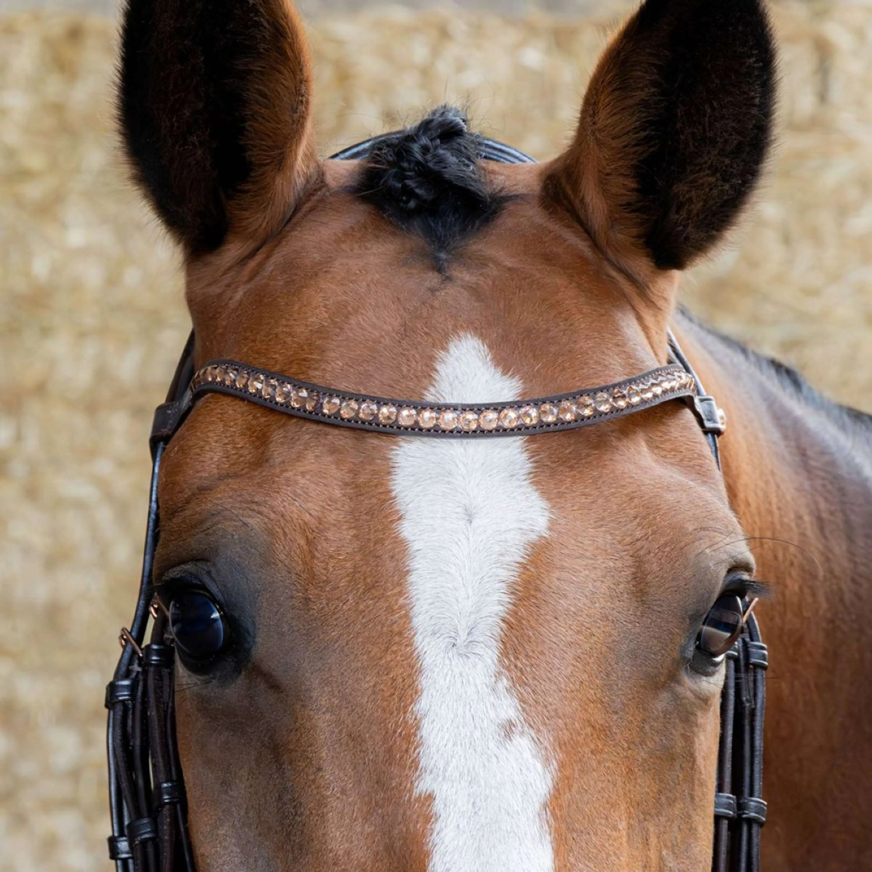Harry's Horse Briglia Copper Marrone - Image 9
