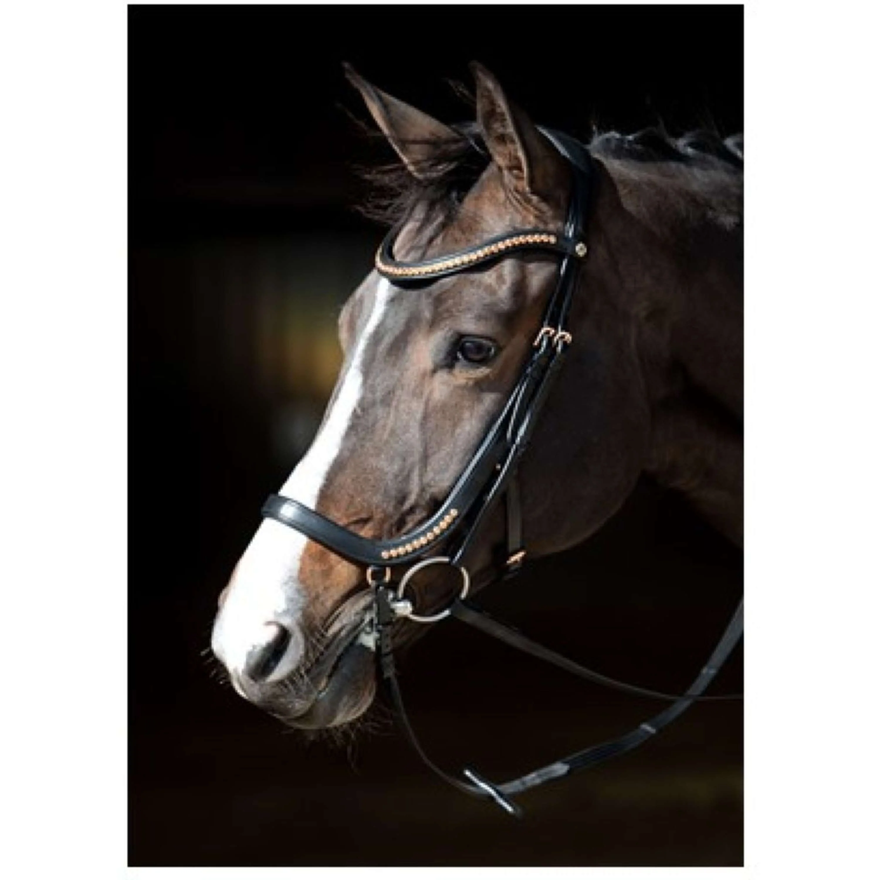 Harry's Horse Briglia Anatomisch Nero - Image 4