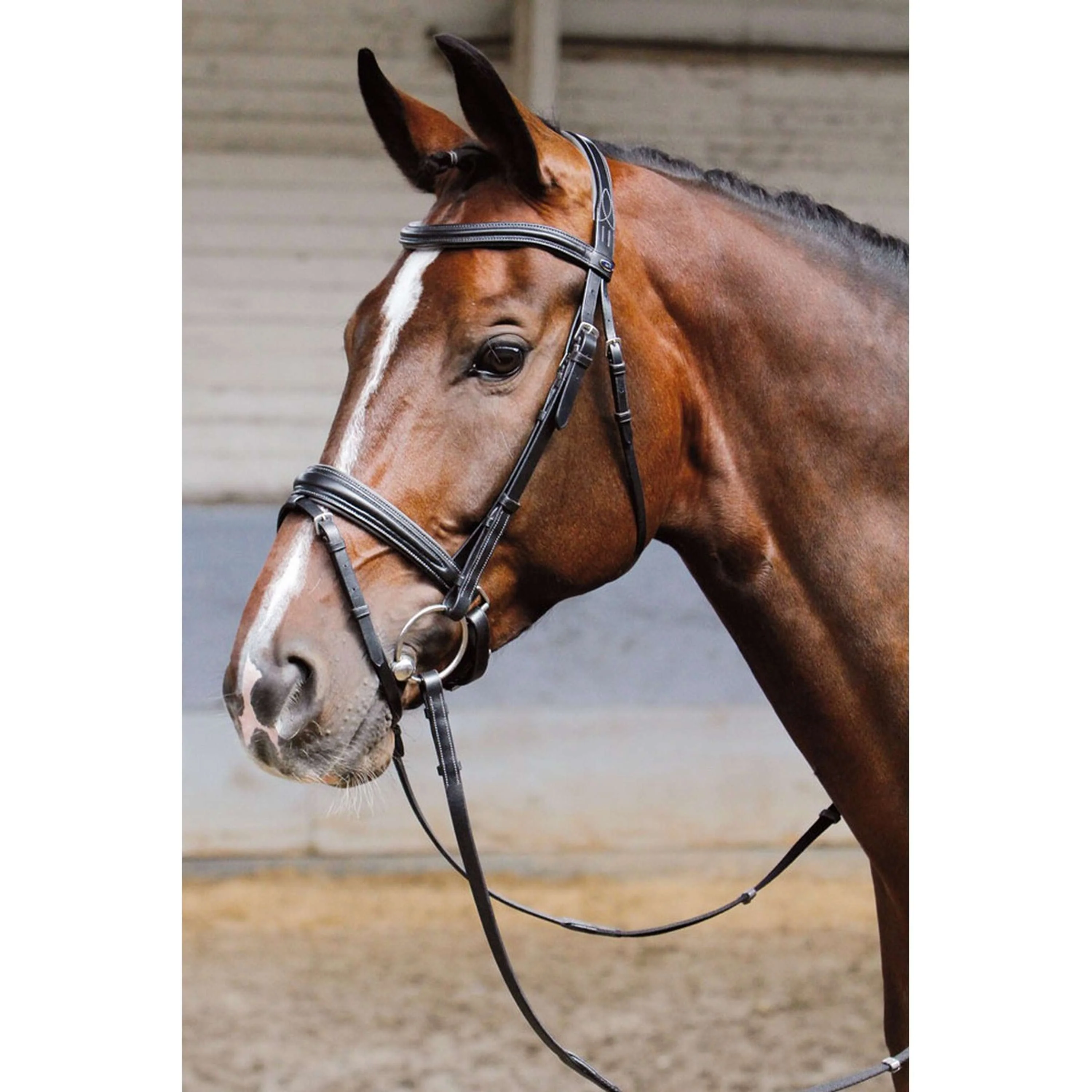 Harry's Horse Briglia Soft Nero - Image 2