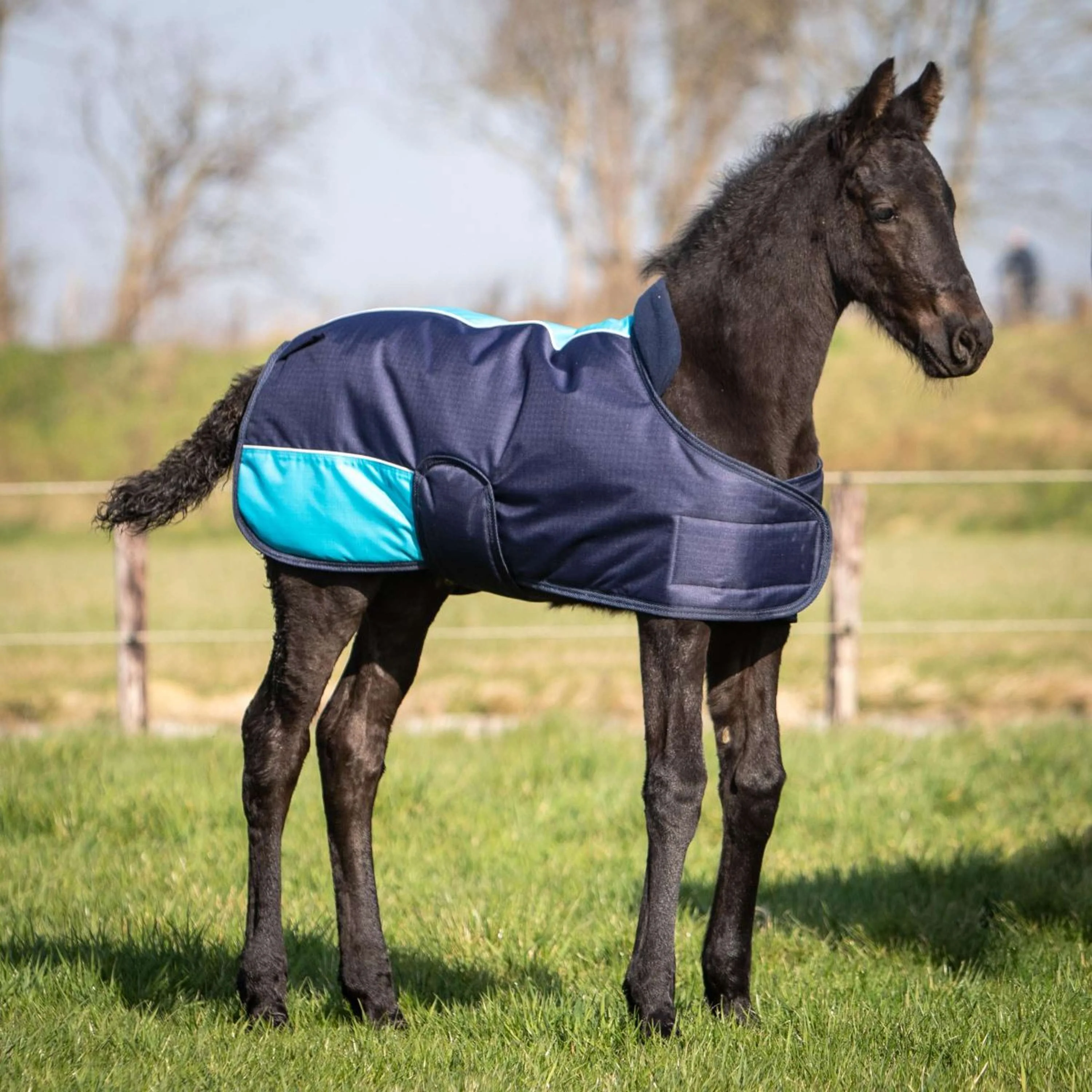 Harry's Horse Coperta per Puledro TwoTone Navy