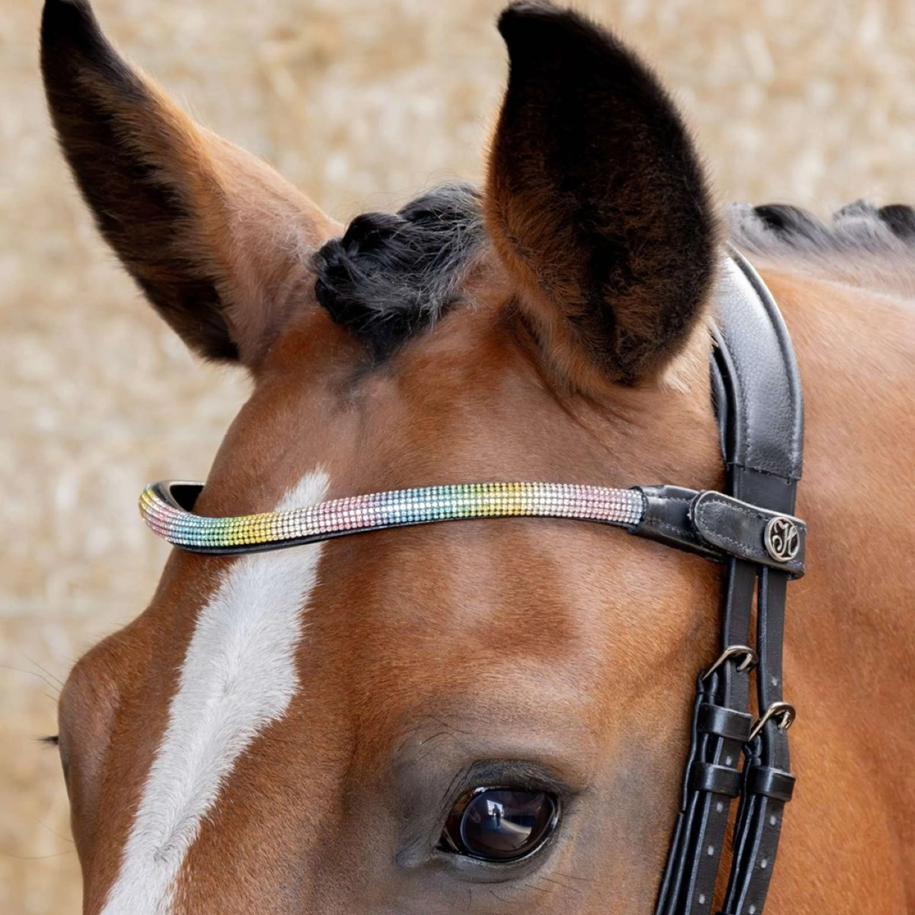Harry's Horse Frontalino Rainbow Arcobaleno - Image 2