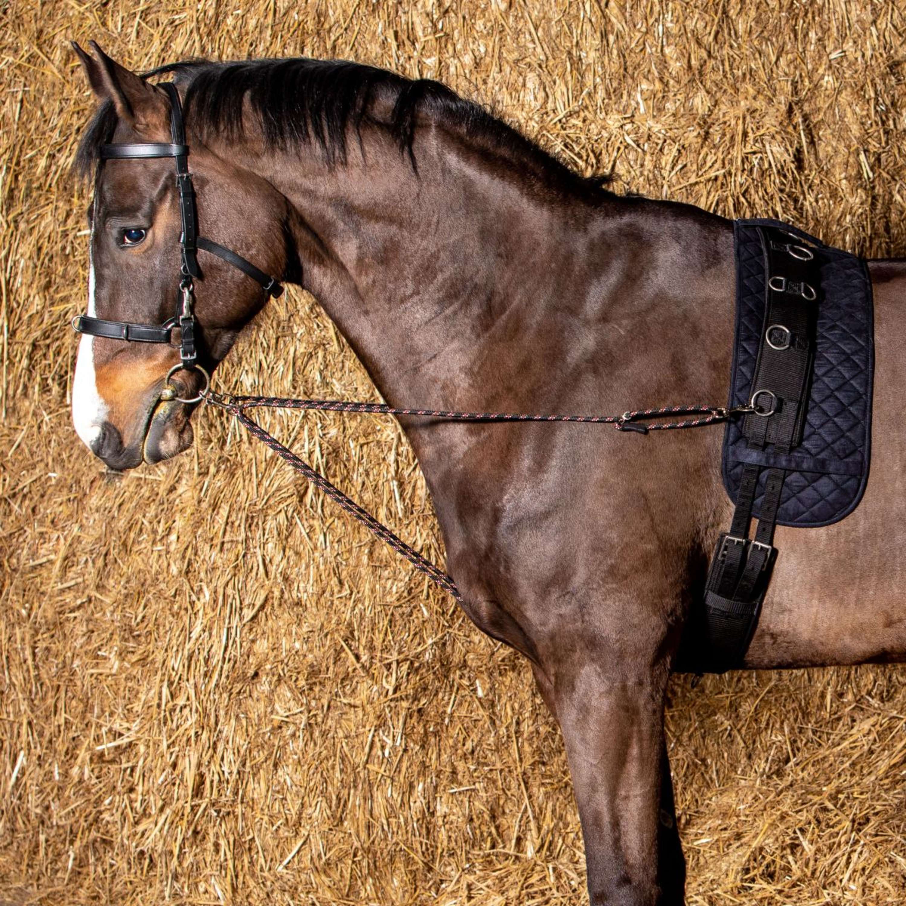 Harry's Horse Linea da Longe V-line Nero - Image 2