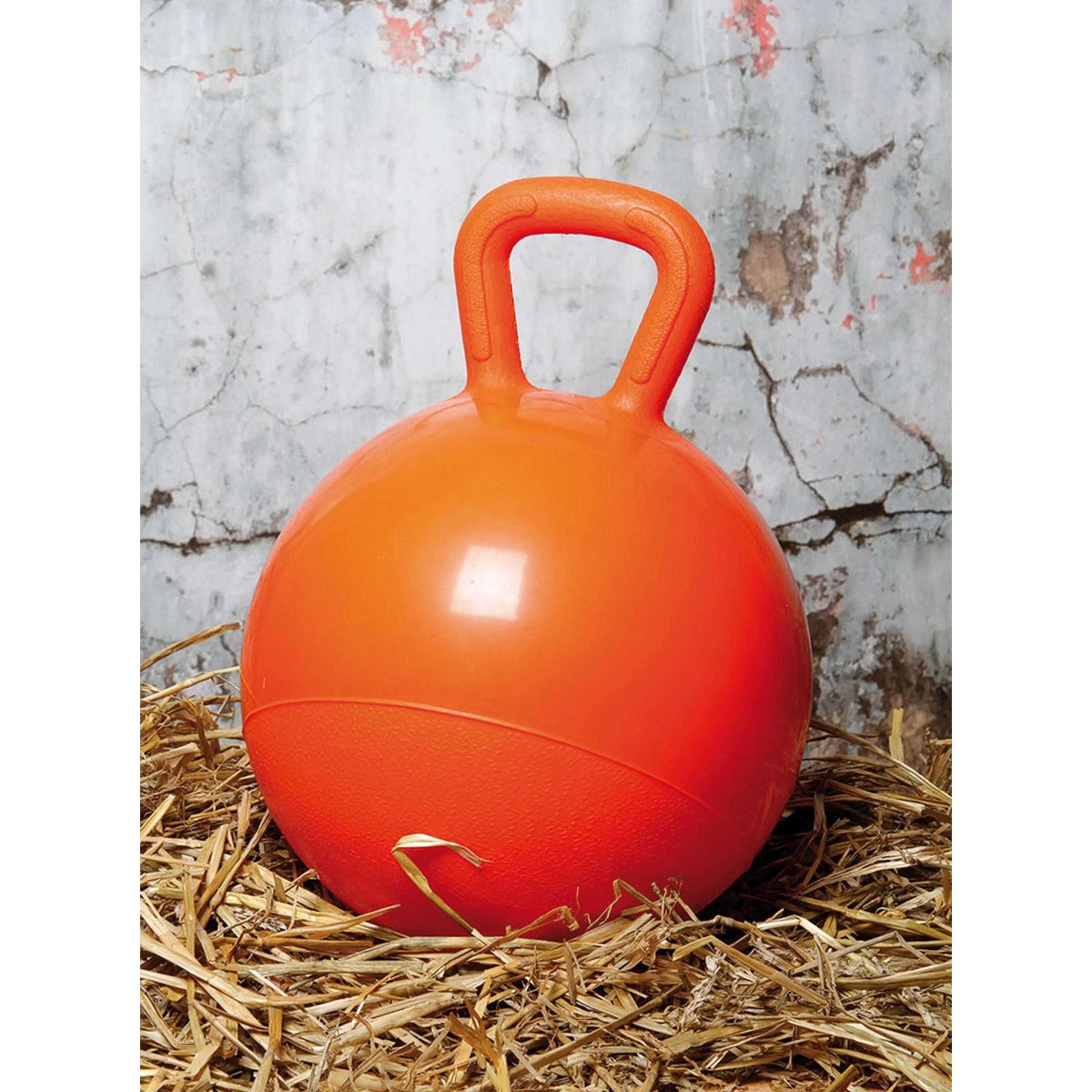 Harry's Horse Pallone da Gioco Arancia - Image 5