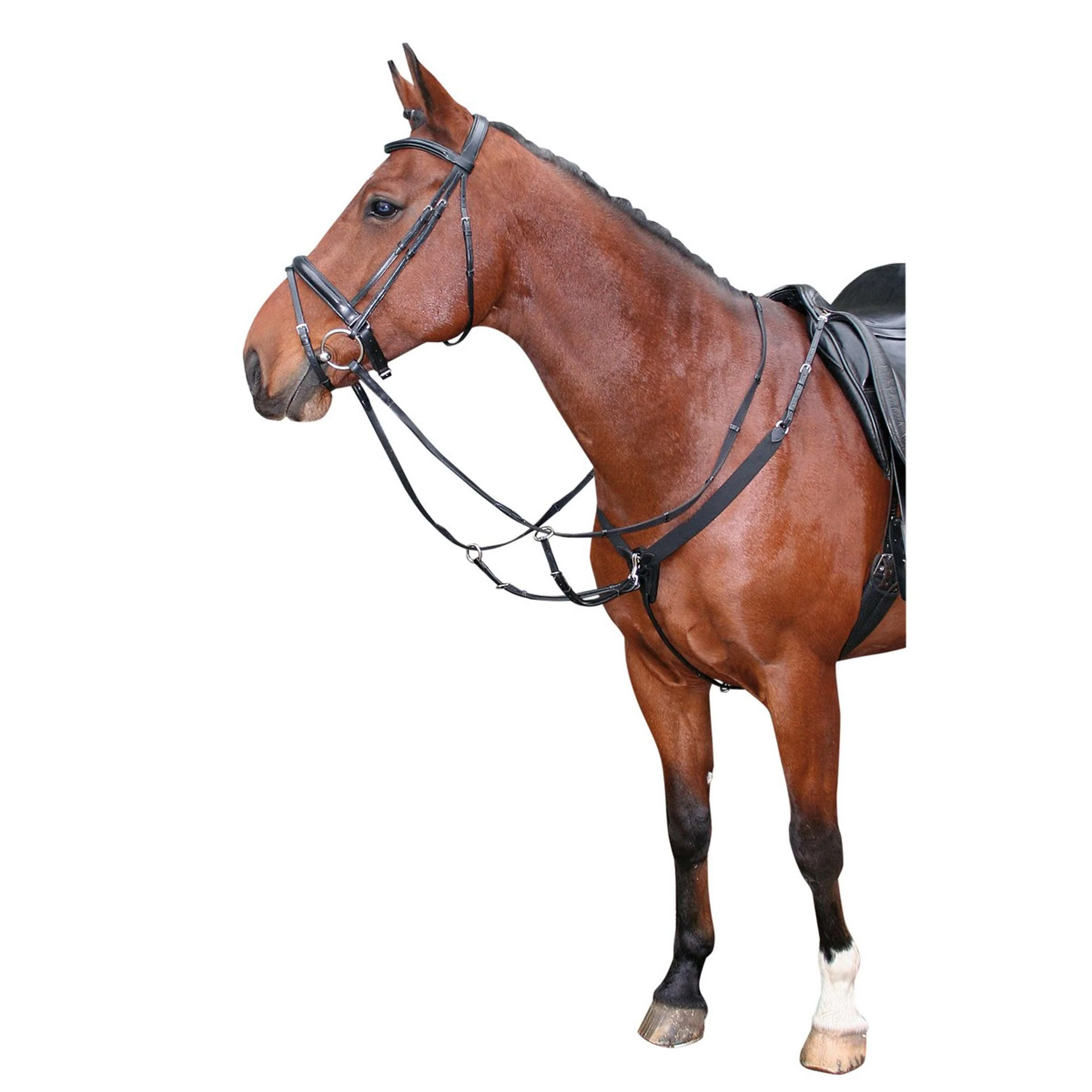 Harry's Horse Pettorale Elastisch Nero - Image 4
