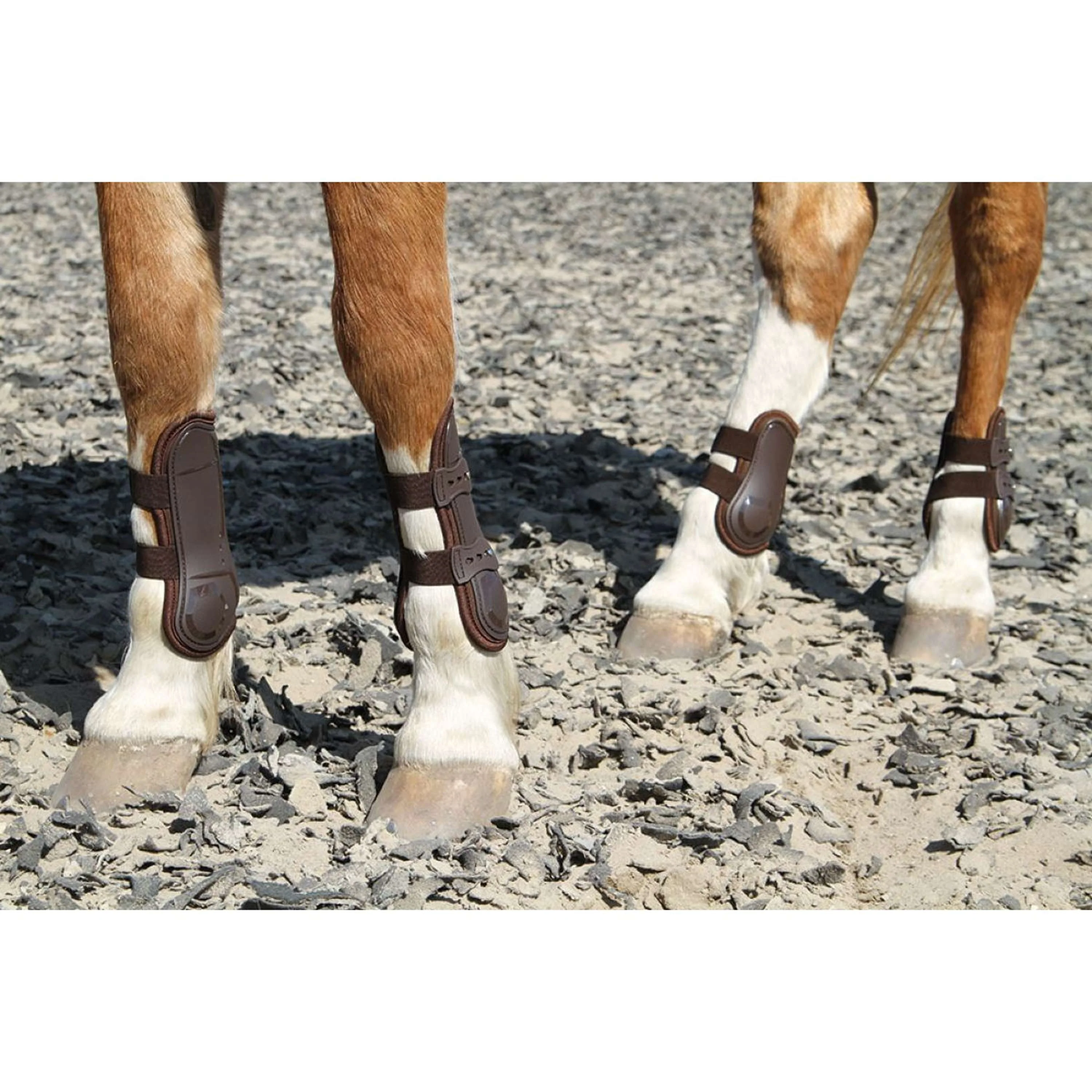 Harry's Horse Stinchiere Percy Air Marrone - Image 3