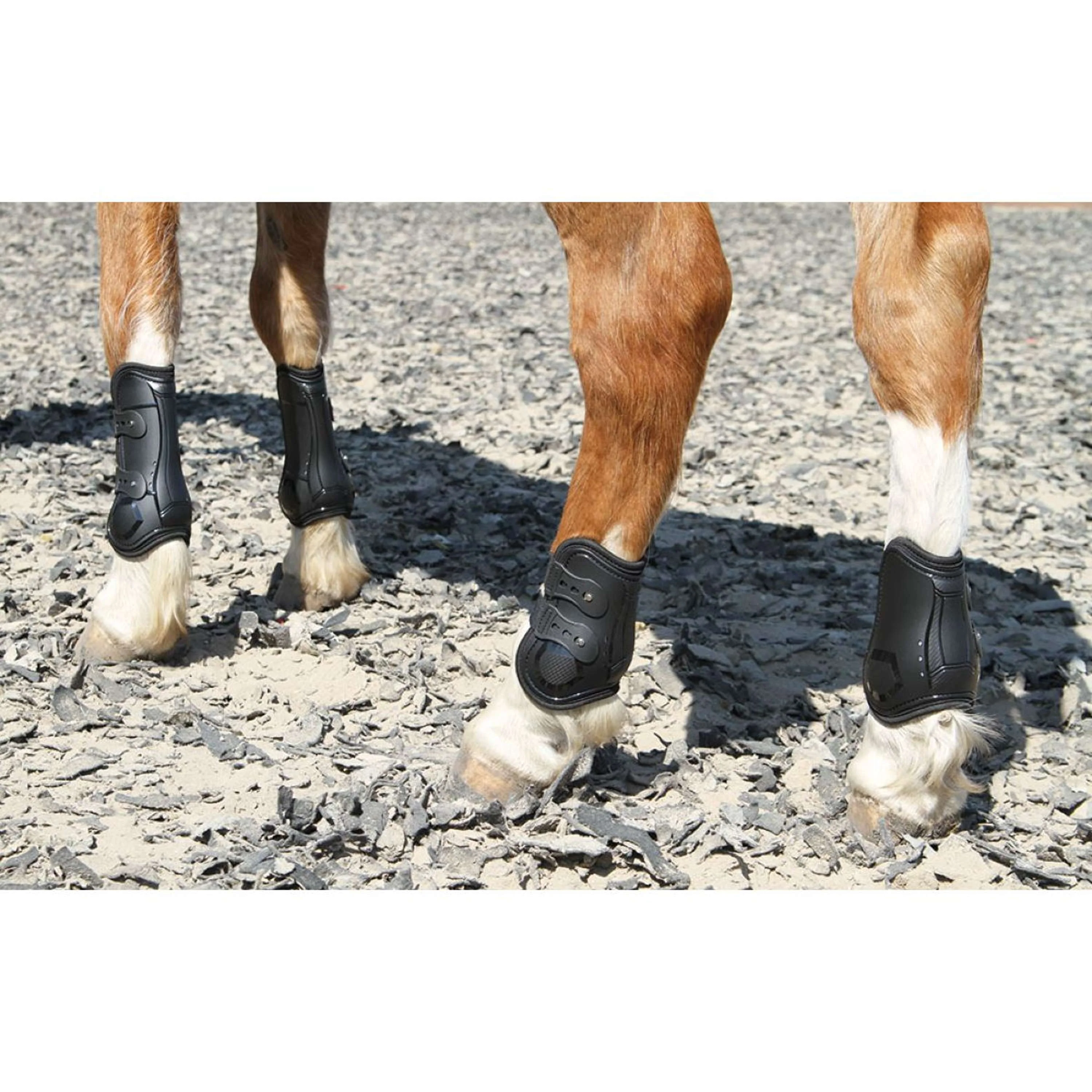 Harry's Horse Stinchiere Percy Air Nero - Image 3