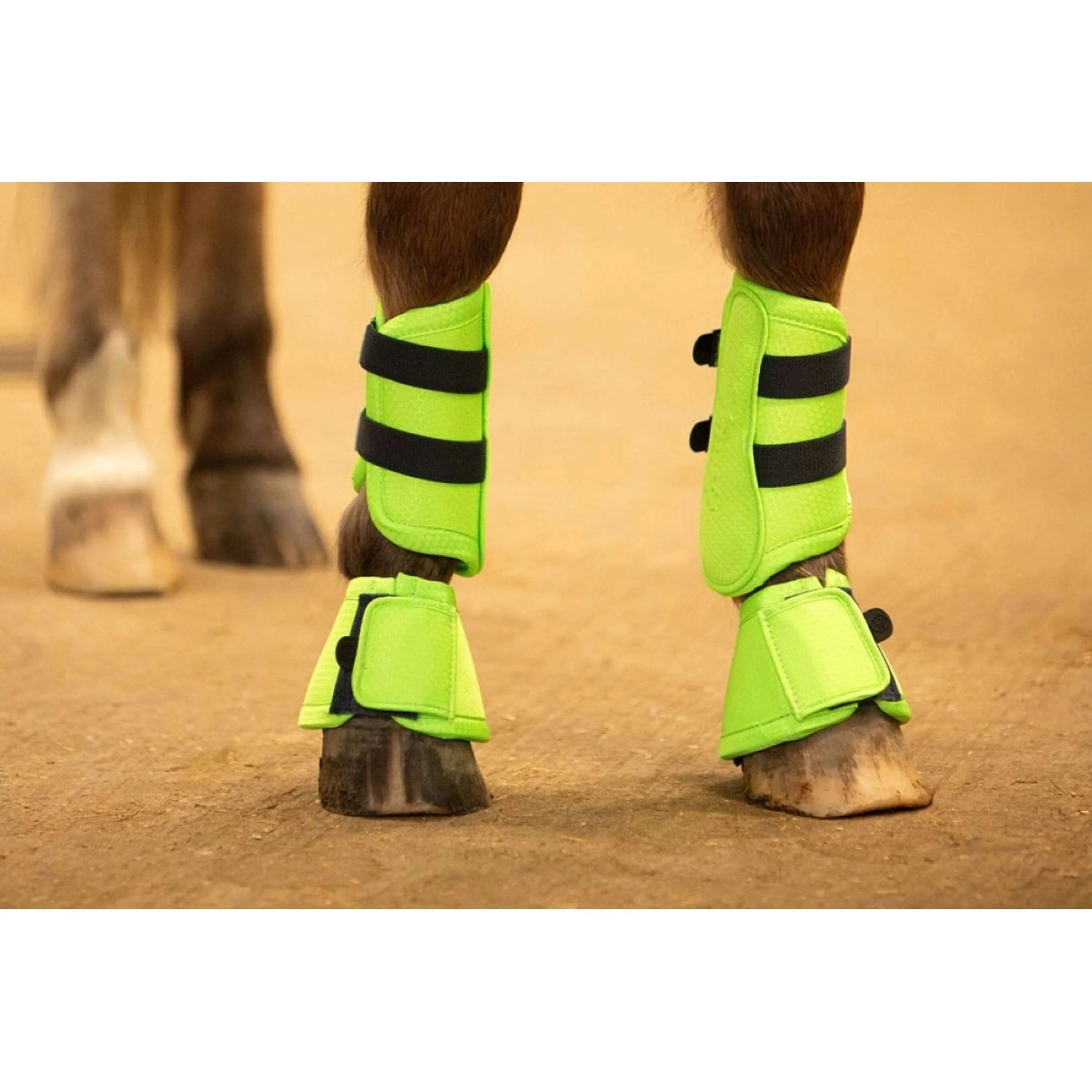 Harry's Horse Stivaletti a Campana STOUT! Lime Lime - Image 3
