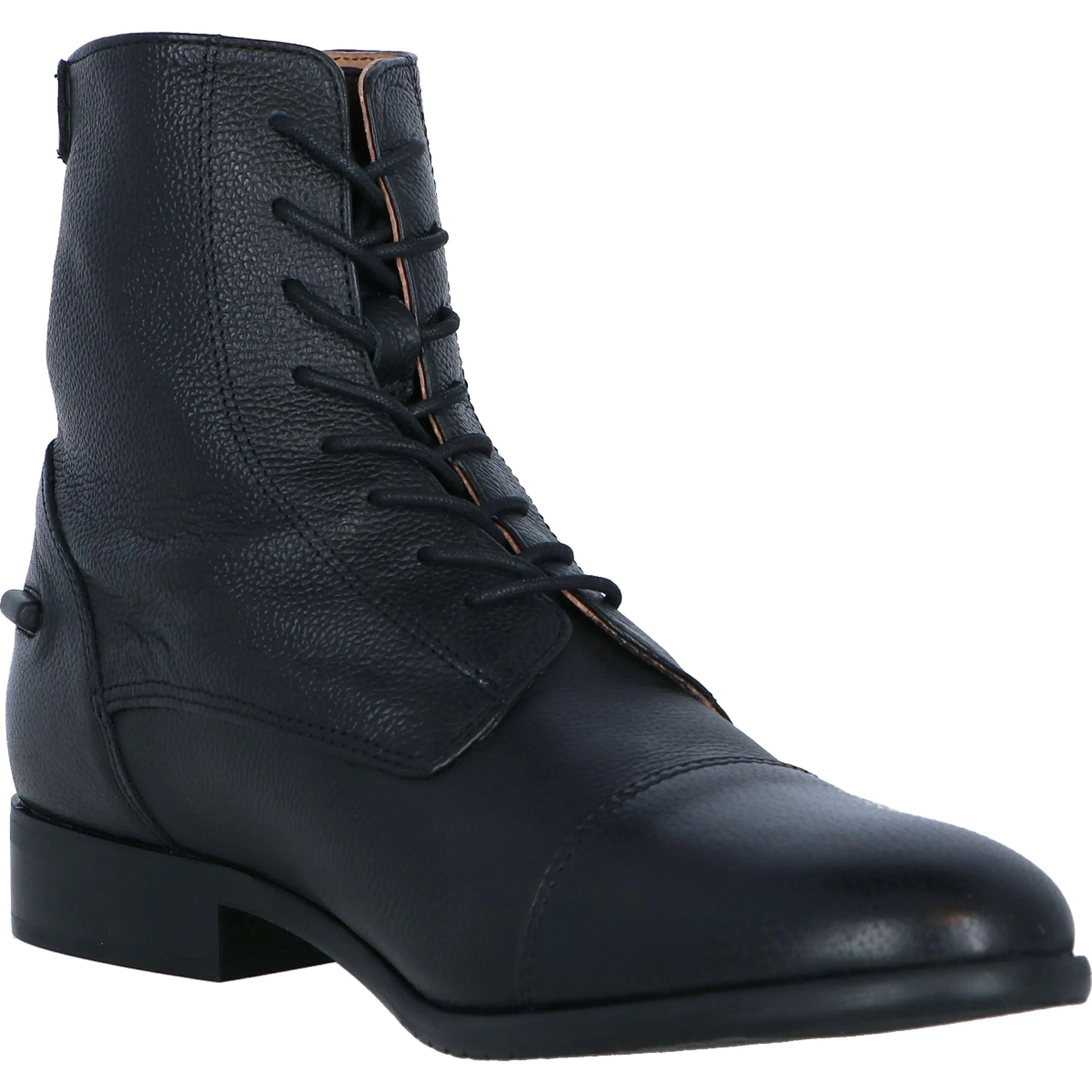 Harry's Horse Stivaletto Bellisa Nero - Image 7